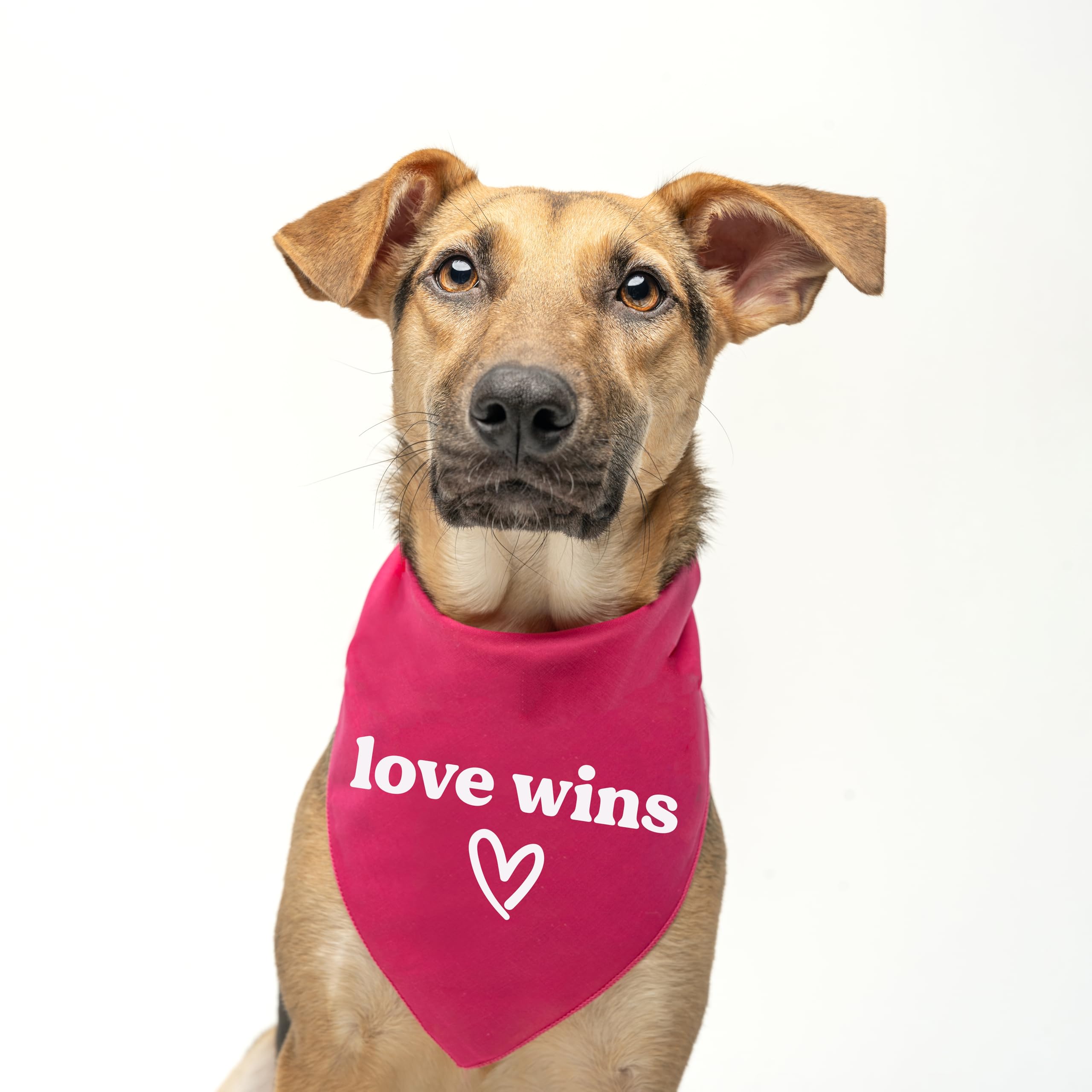 Love Wins Dog Bandana | 100% Cotton Adjustable Triangle | Made In Usa | Pride Day | Lgbtq+ | Rainbow | Parade |Camo, One Size (7