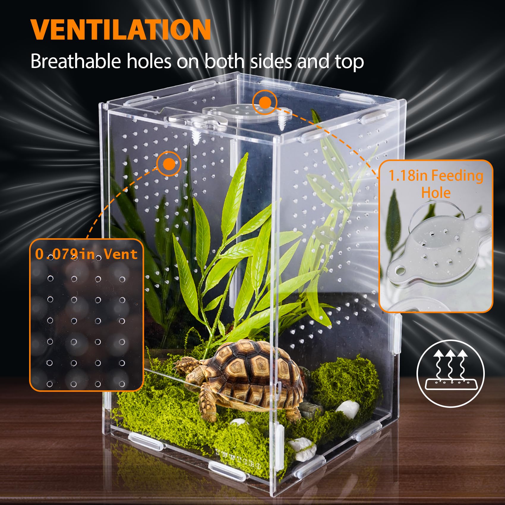 Jumping Spider Enclosure, Acrylic Insect Terrarium, Bug Enclosure, Reptile Cage, Mantis Habitat, Arboreal Tarantula Enclosure, S