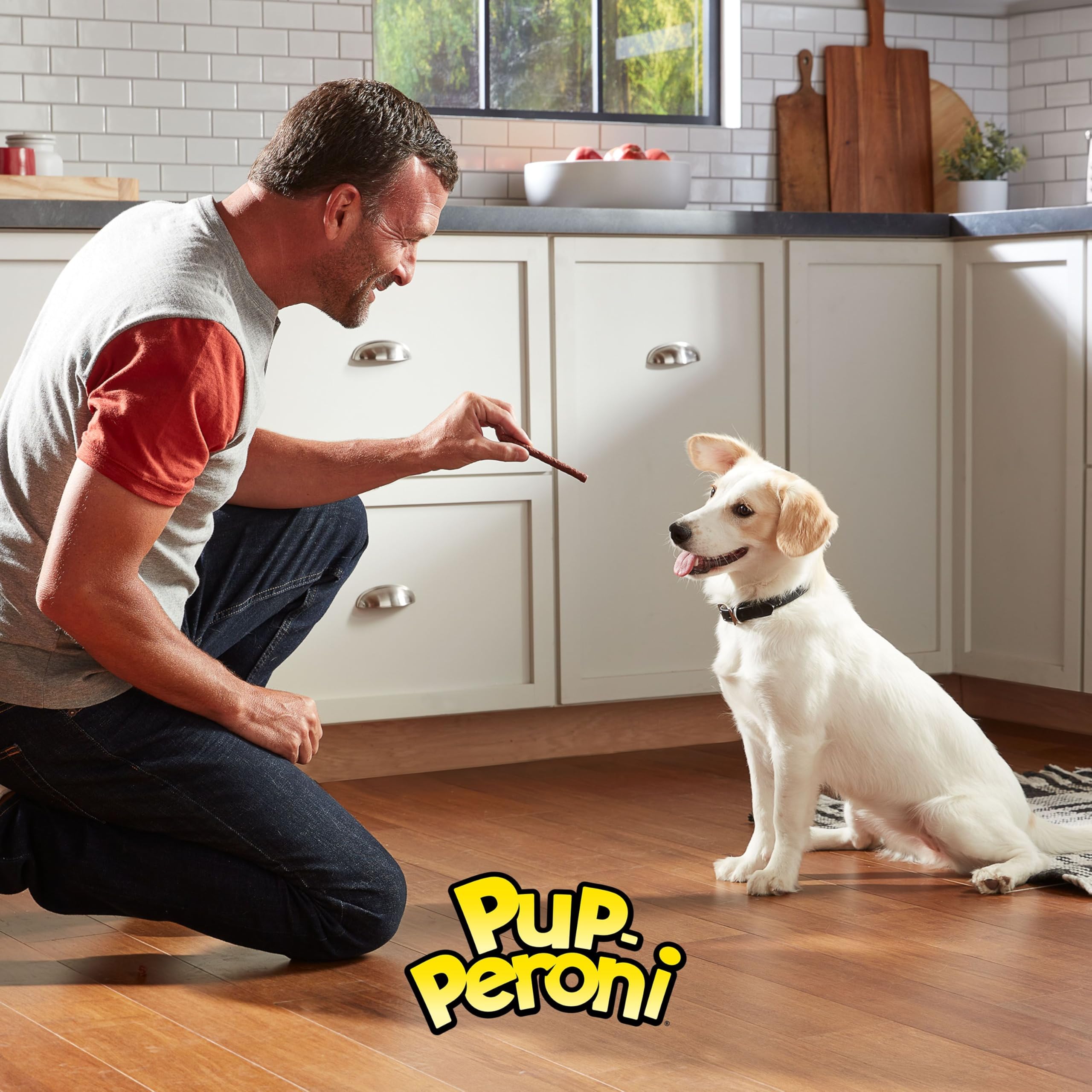 DOG TREAT PUPERONI LEAN