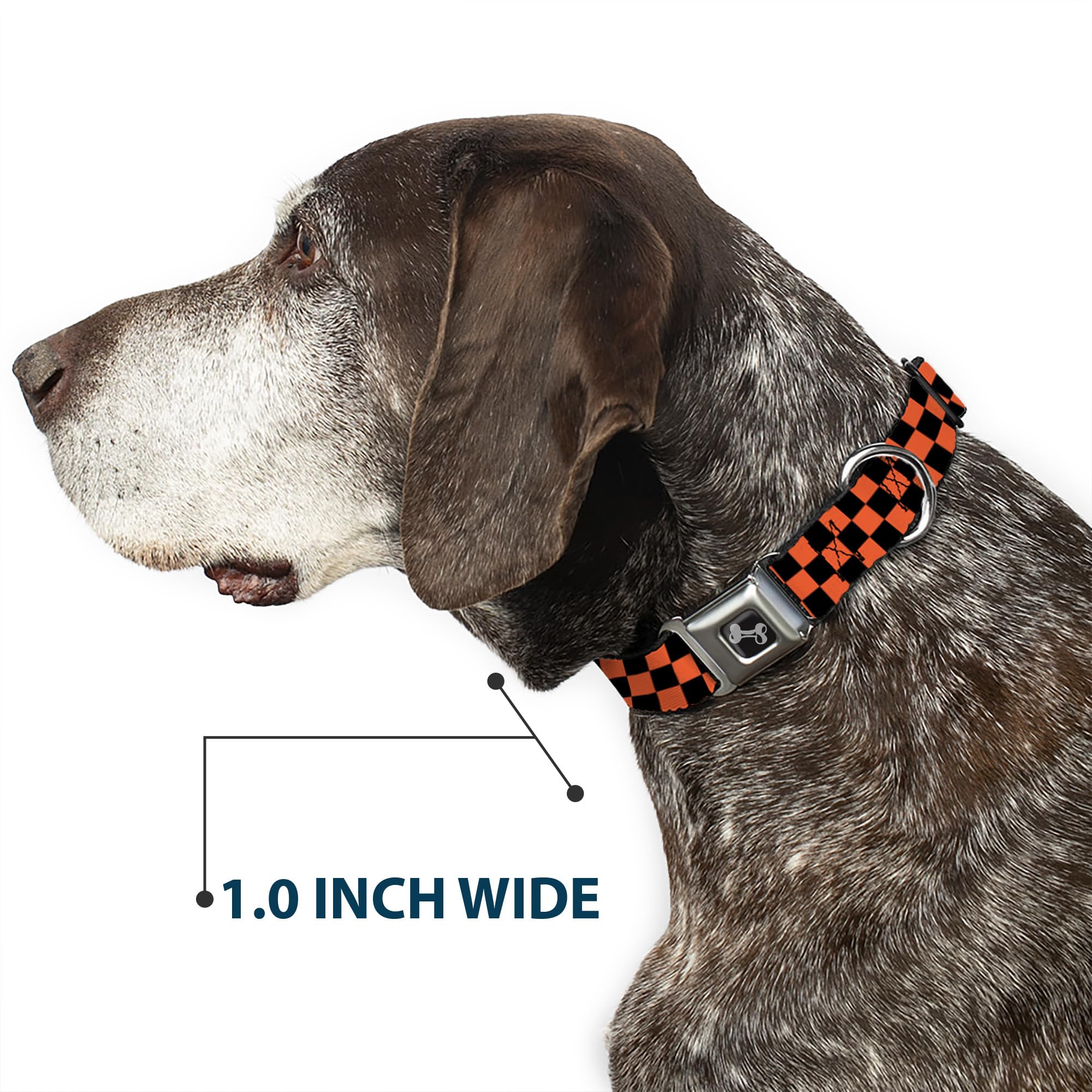 Buckle-Down 13-18 Checker Black/Orange Dog Collar Bone, Wide Small