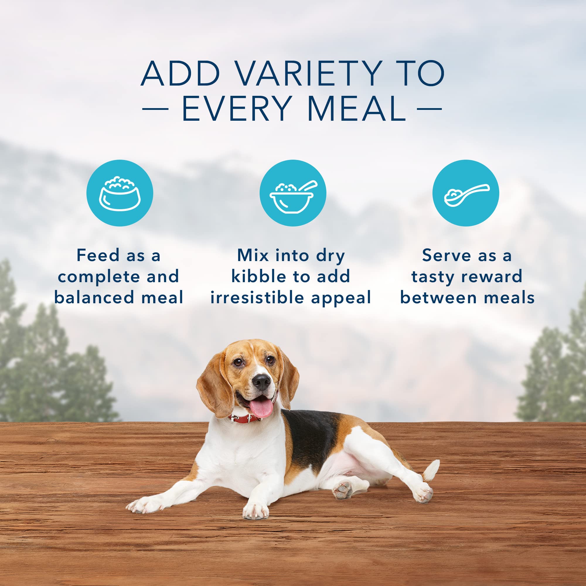 Blue Buffalo Wilderness Adult Wet Dog Food, Healthy Weight, High-Protein and Grain-Free, Turkey & Chicken Recipe, 12.5-oz. Can