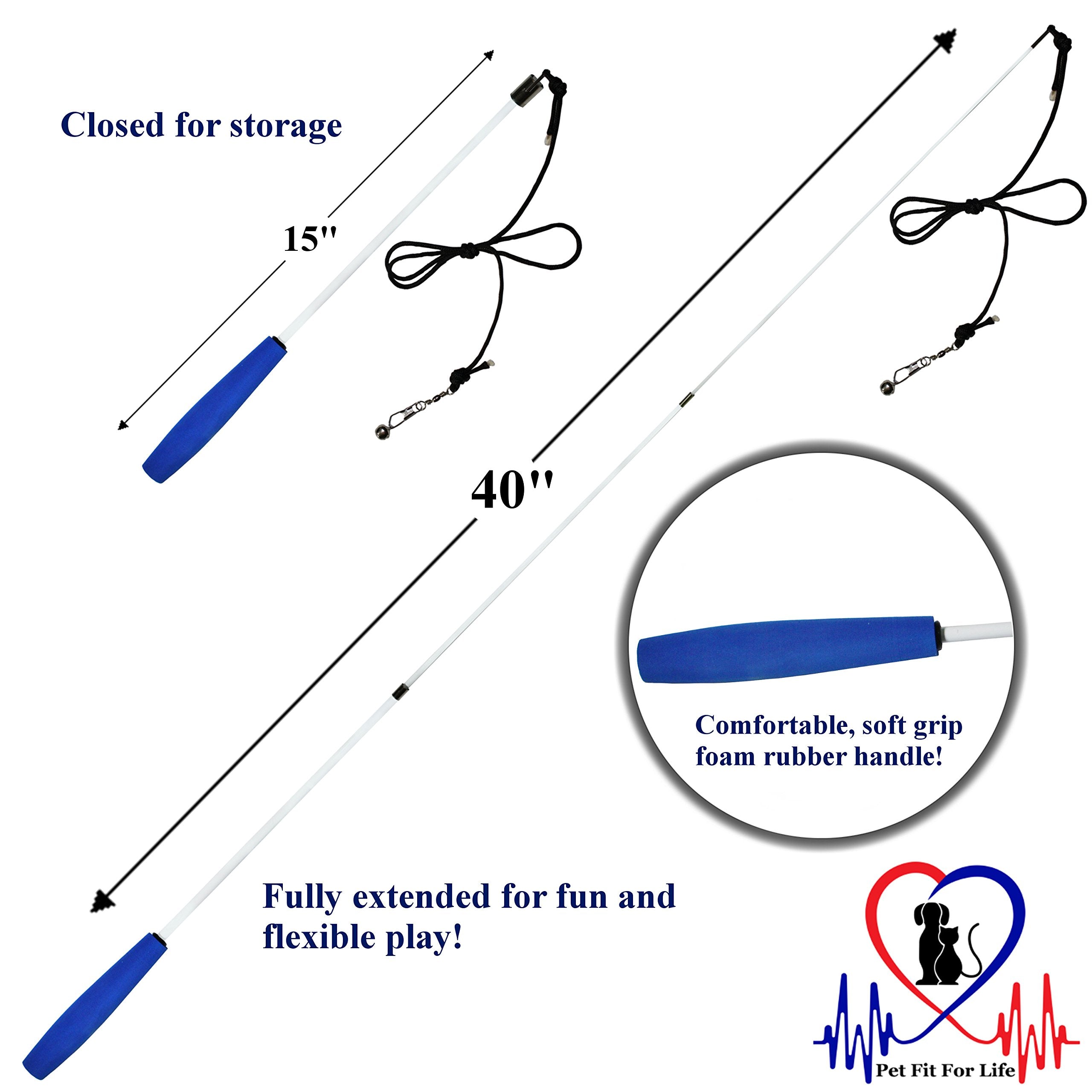 Pet Fit For Life - Retractable Feather Wand For Cats - Durable Interactive Cat Toy, Teaser Fishing Pole With Feather Lures - Fun Kitten Play Wand, 2 Feathers With String Attachment