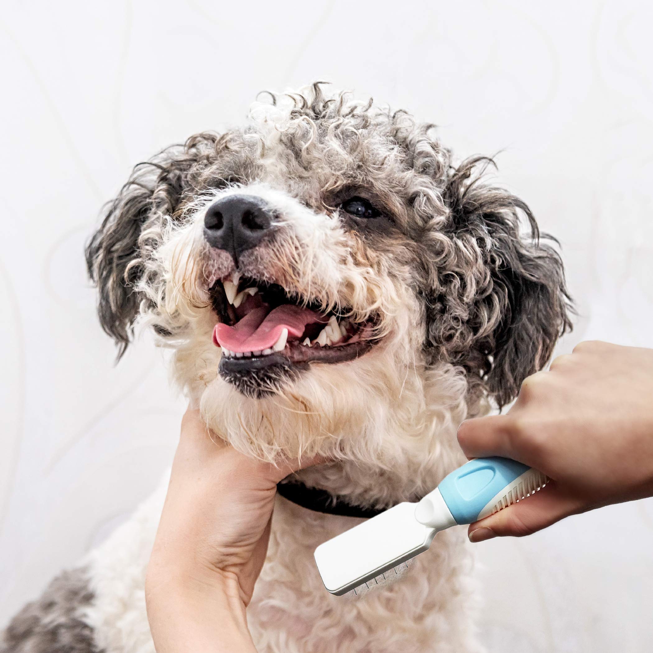 Pets First Professional Pet Mat Remover - Dematting Tool For Grooming Cats & Dogs - Removes Matted Fur, Tangles, Knots, Loose Ha