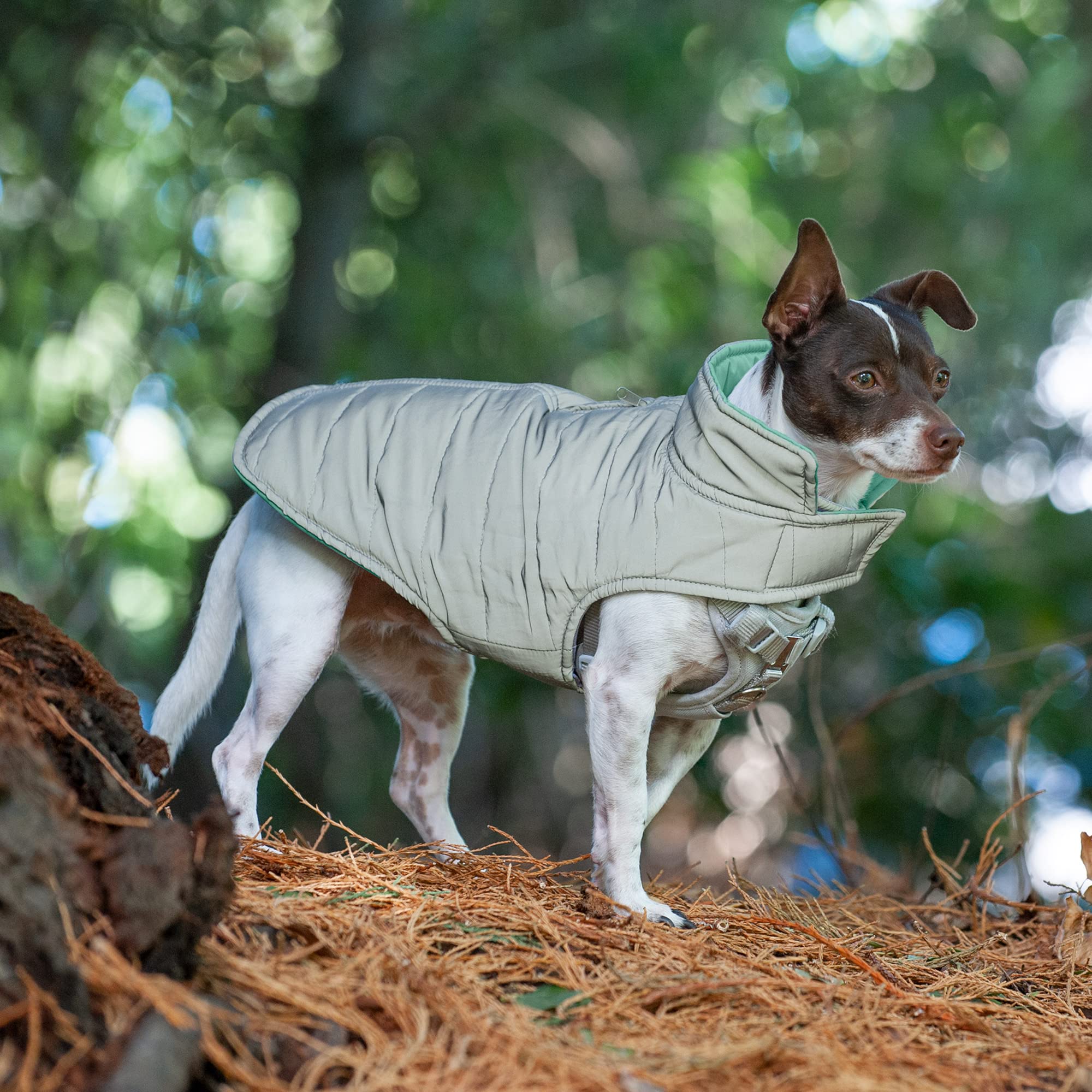 Furhaven Water-Repellent & Reversible XS Dog Coat, Washable & Reflective w/ Leash Access, Pocket, & Carry-On Purse - Puffer Dog