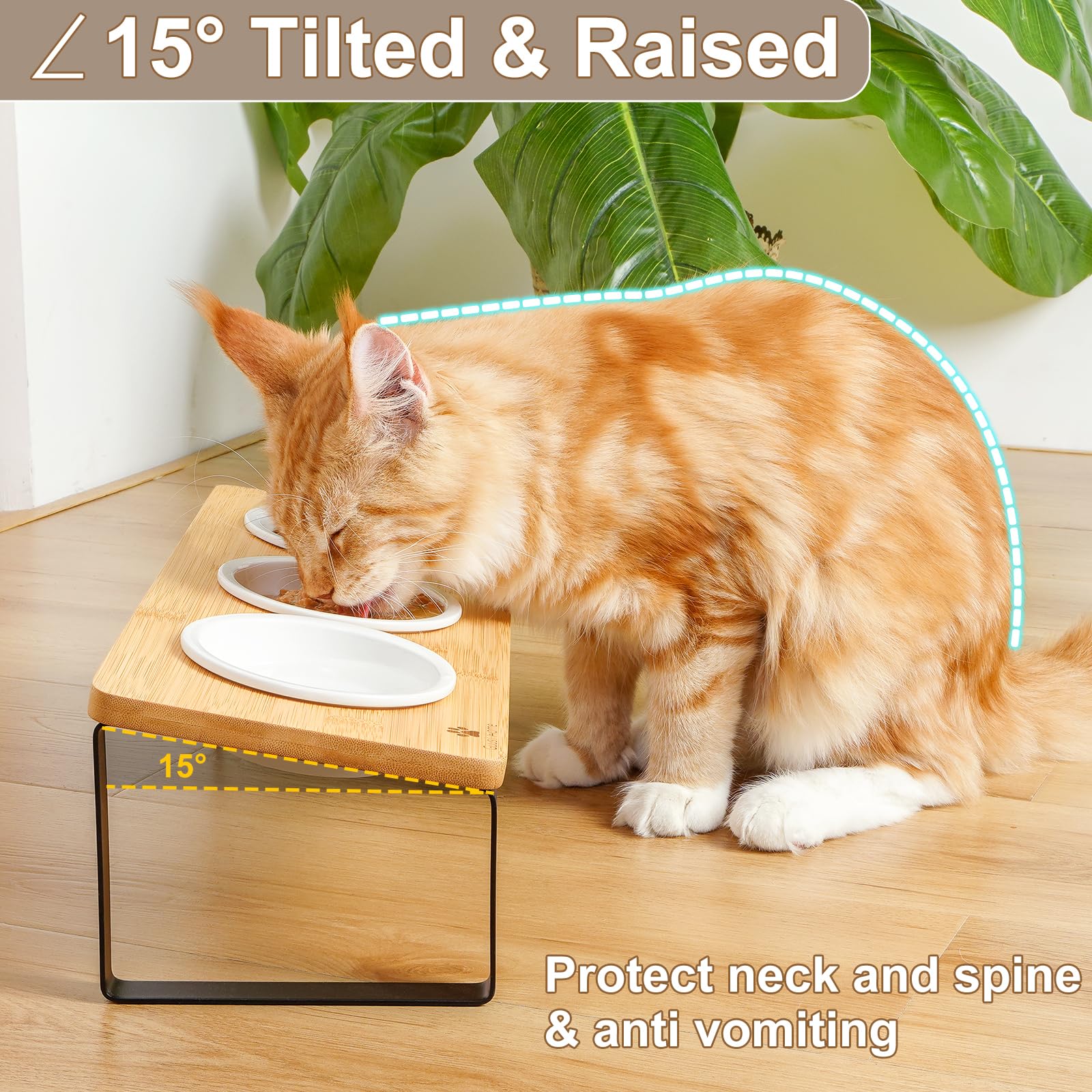 Sunhoo Raised Cat Food Water Bowl Elevated Tilted Kitty Dishes Set of 3 Ceramic Dish for Indoor Cats Orthopedic Pet Food Stand A