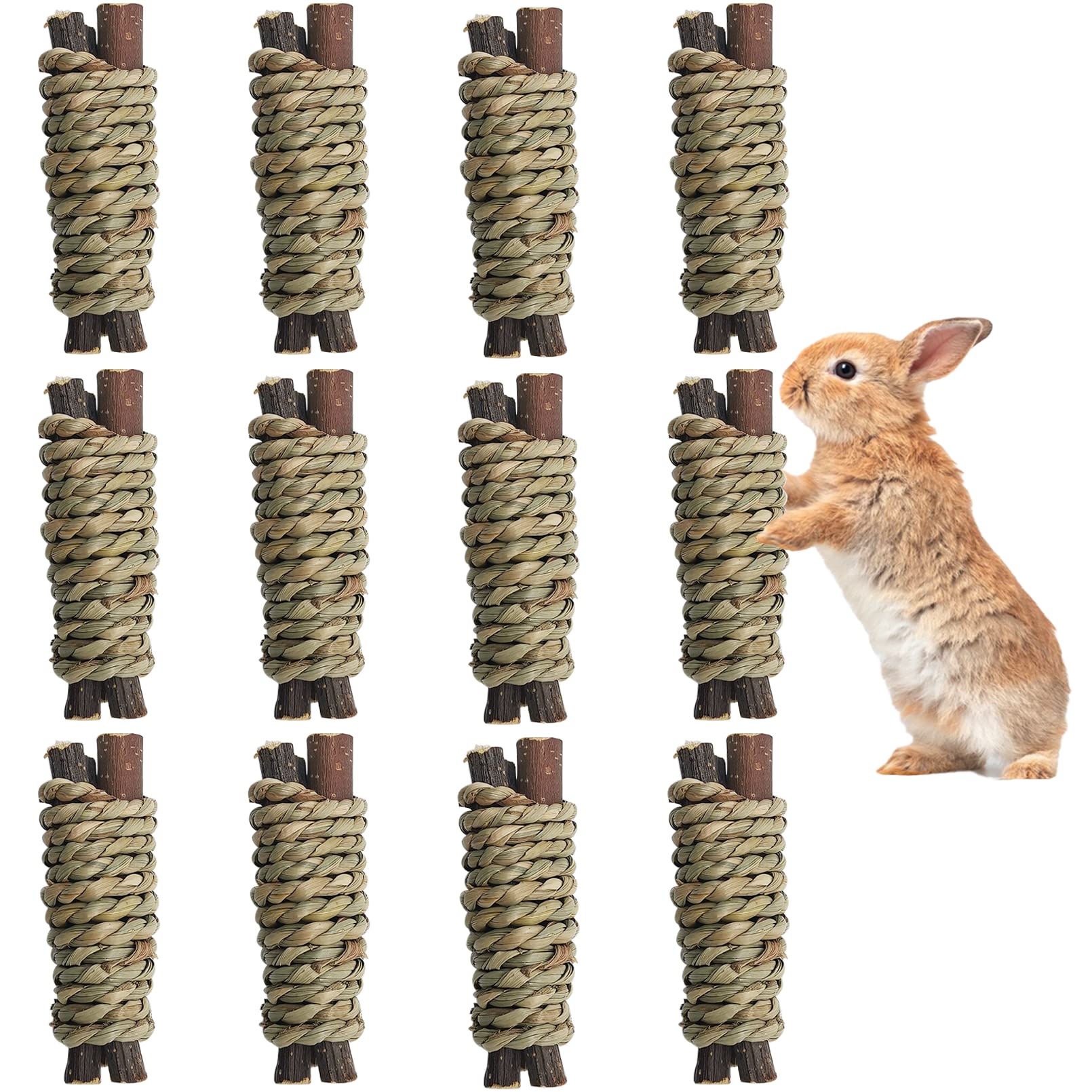 Fhiny 12 PCS Guinea Pigs Chew Toys, Natural Apple Branch Seagrass Molar Sticks for Teeth Bunny Chew Toys Cage Accessories for Gu