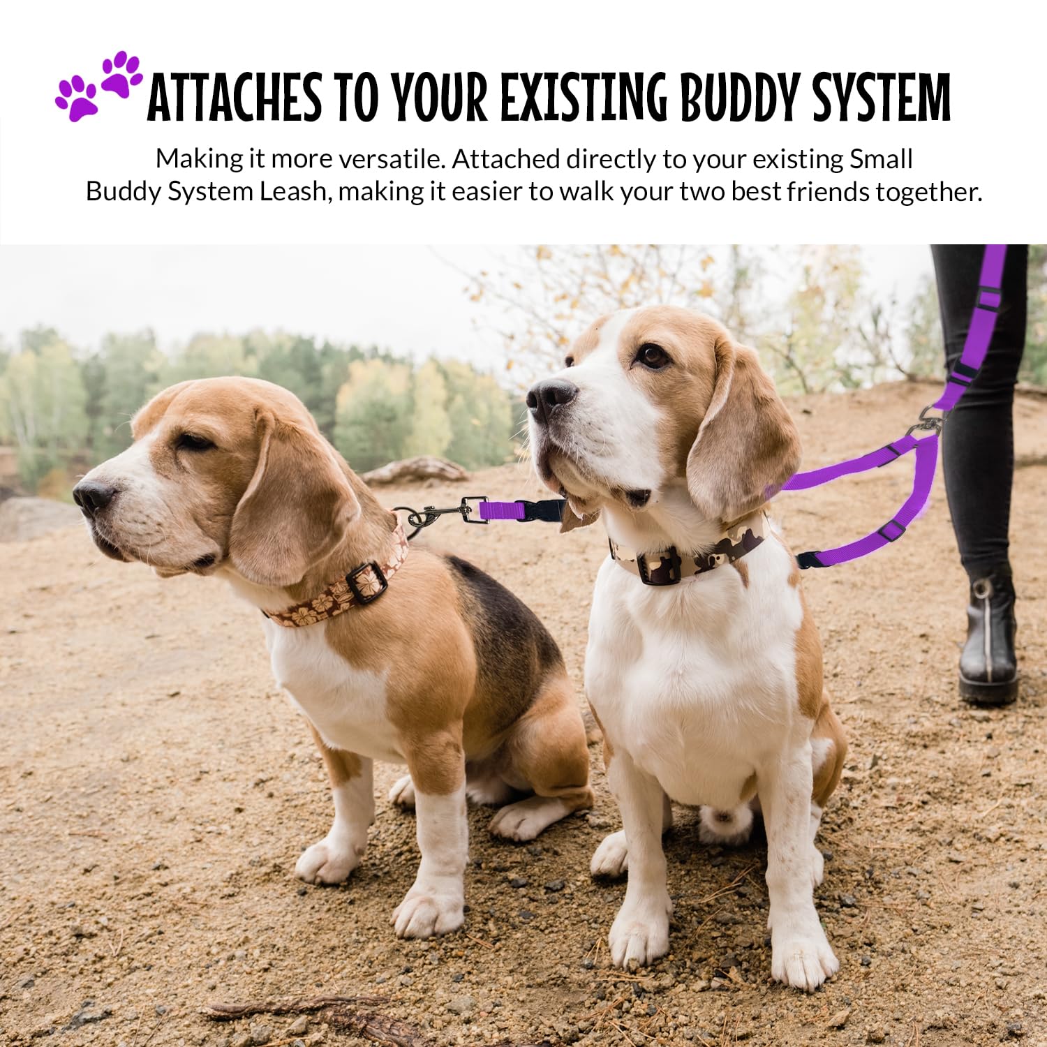 The Buddy System Double Buddy Small Purple