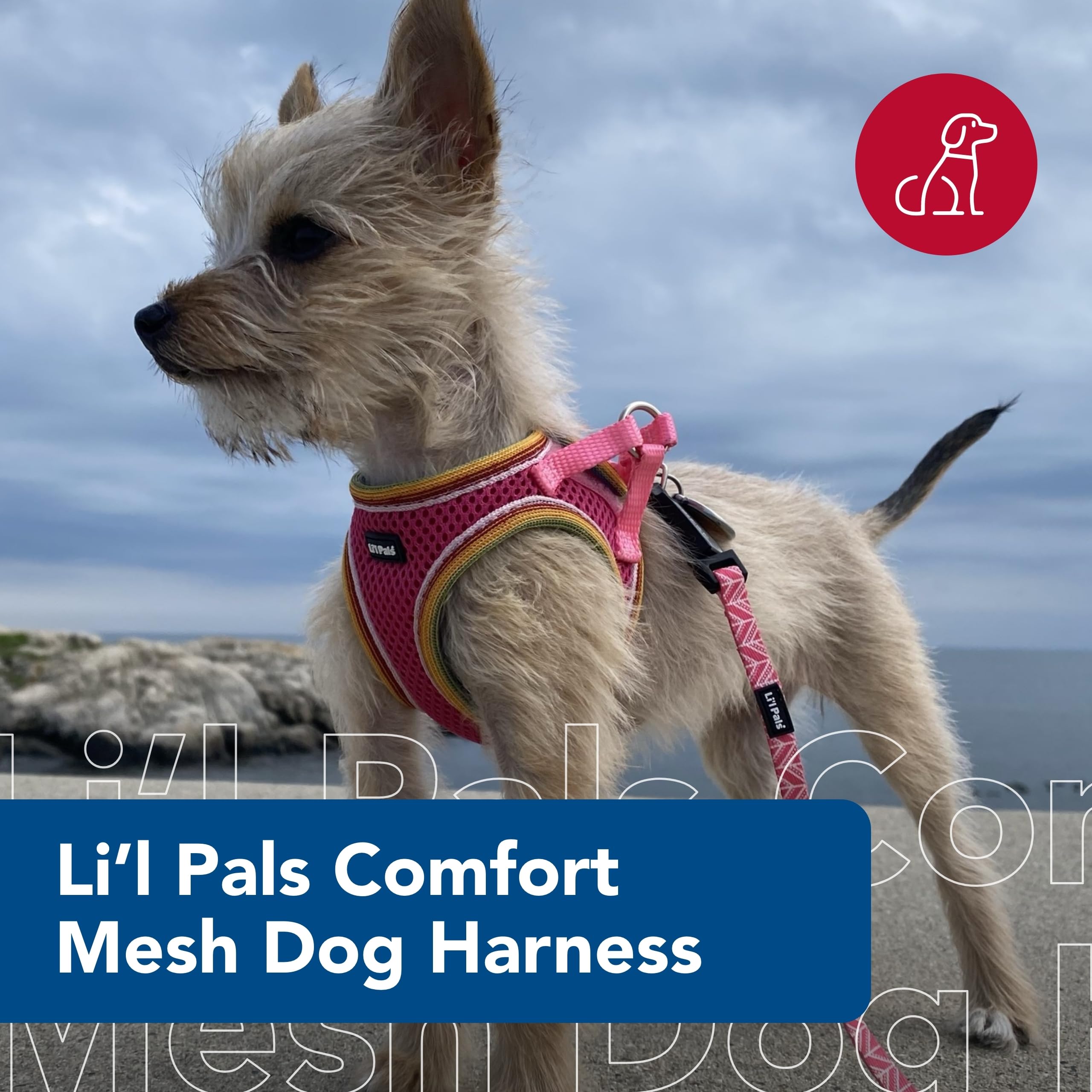 Coastal Pet Li'L Pals Comfort Mesh Dog Harness - No-Pull Step-In Dog Harness For Small Dogs & Puppies - Dog Cooling Vest - Orchid - 3/8' X 8'-10'