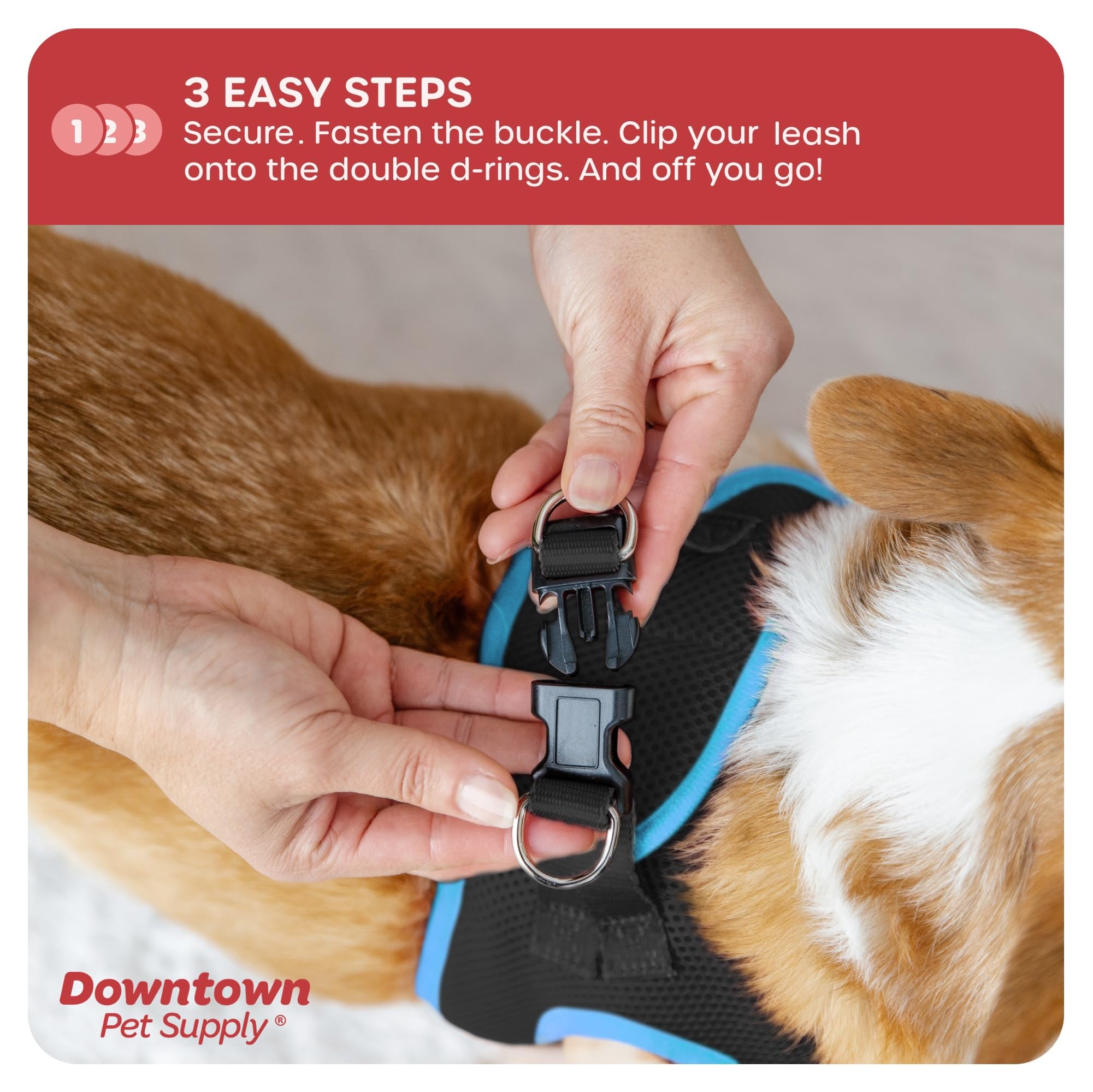 Downtown Pet Supply Step In Dog Harness For Small Dogs No Pull, Small, Black W/Cobalt Blue Trim - Adjustable Harness With Padded