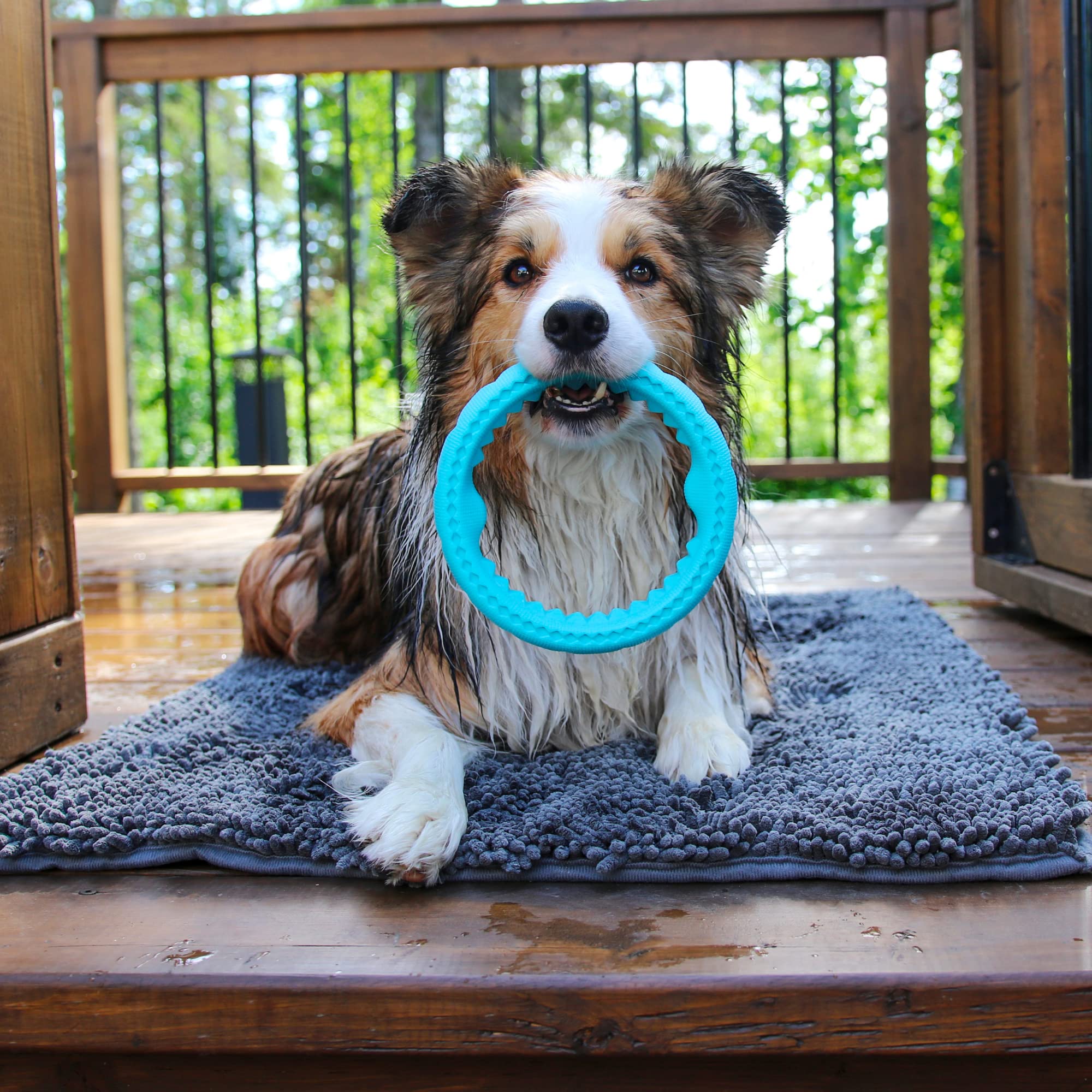 Messy Mutts Chew n' Tug Ring Dog Toy - Durable TPR, 6.5”, Teal, Model TP301MT, Perfect for Tough Chewers