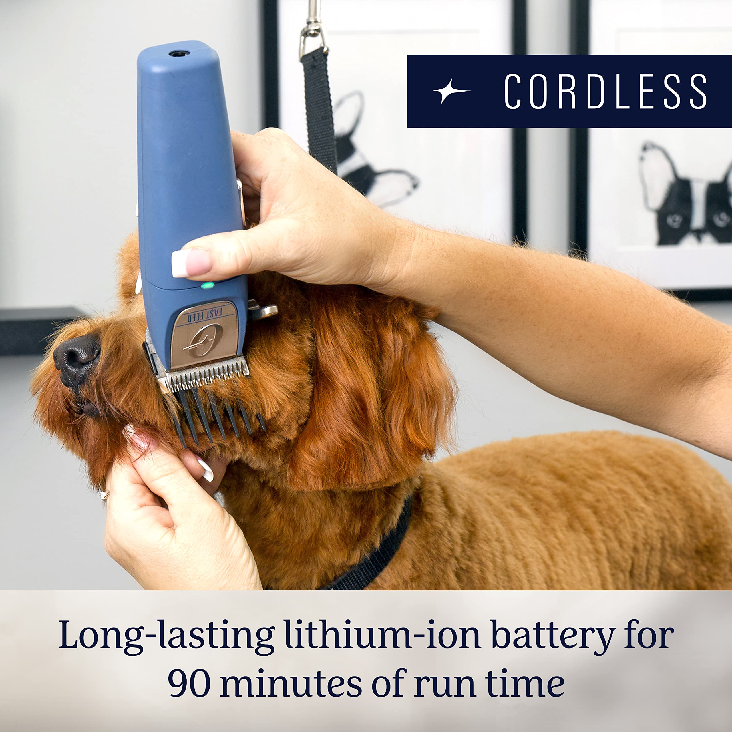 Oster Professional Fast Feed Cordless Pet Clippers, Stainless Steel, Blue, Model 2143932