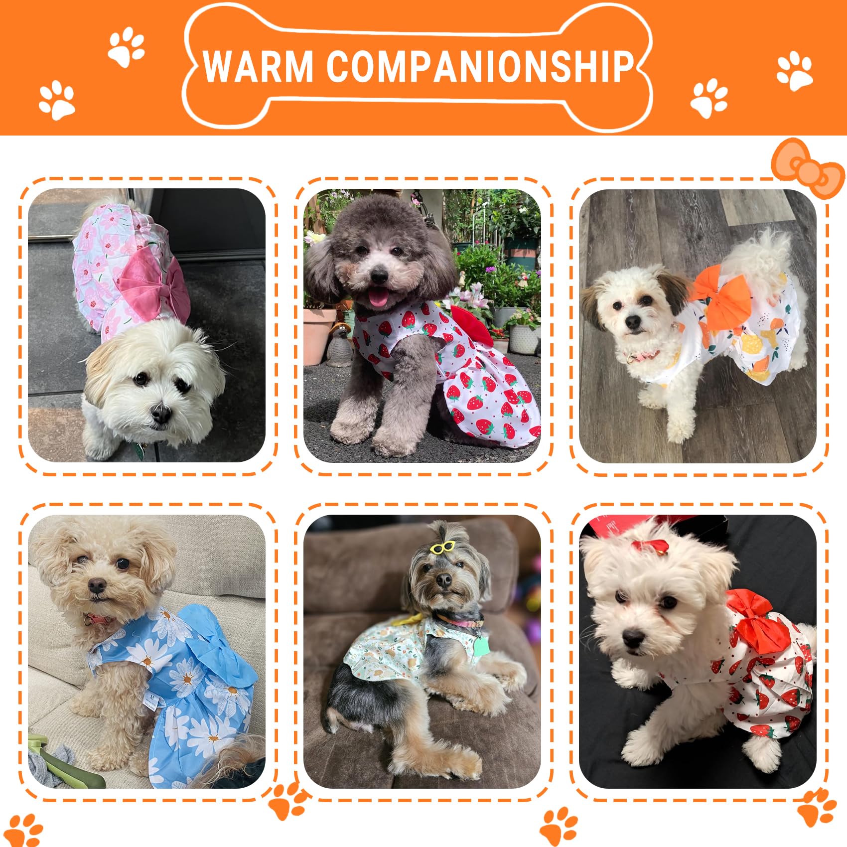 Tapbull Dog Dresses, Fashionable Pet Dog Clothes, Cute Cat Birthday Dress Outfit (Orange/Red/Yellow/Blue/Pink 5-Pack), Xx-Large