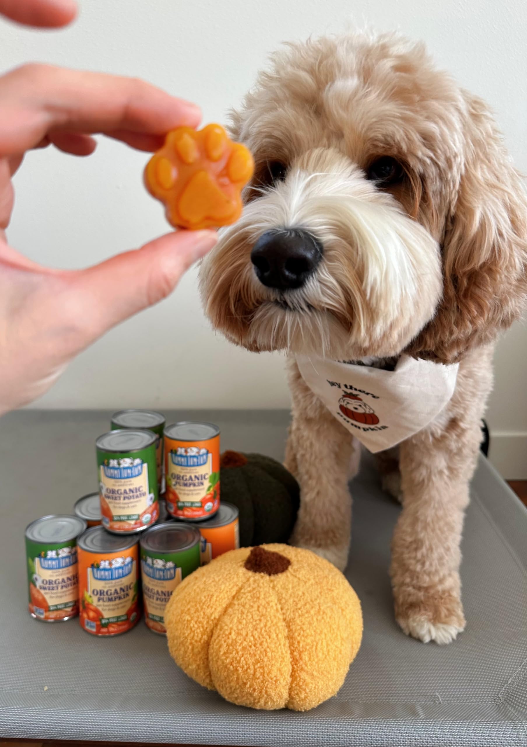 Nummy Tum Tum Pure Pumpkin For Pets, 15-Ounce Cans (Pack Of 12)