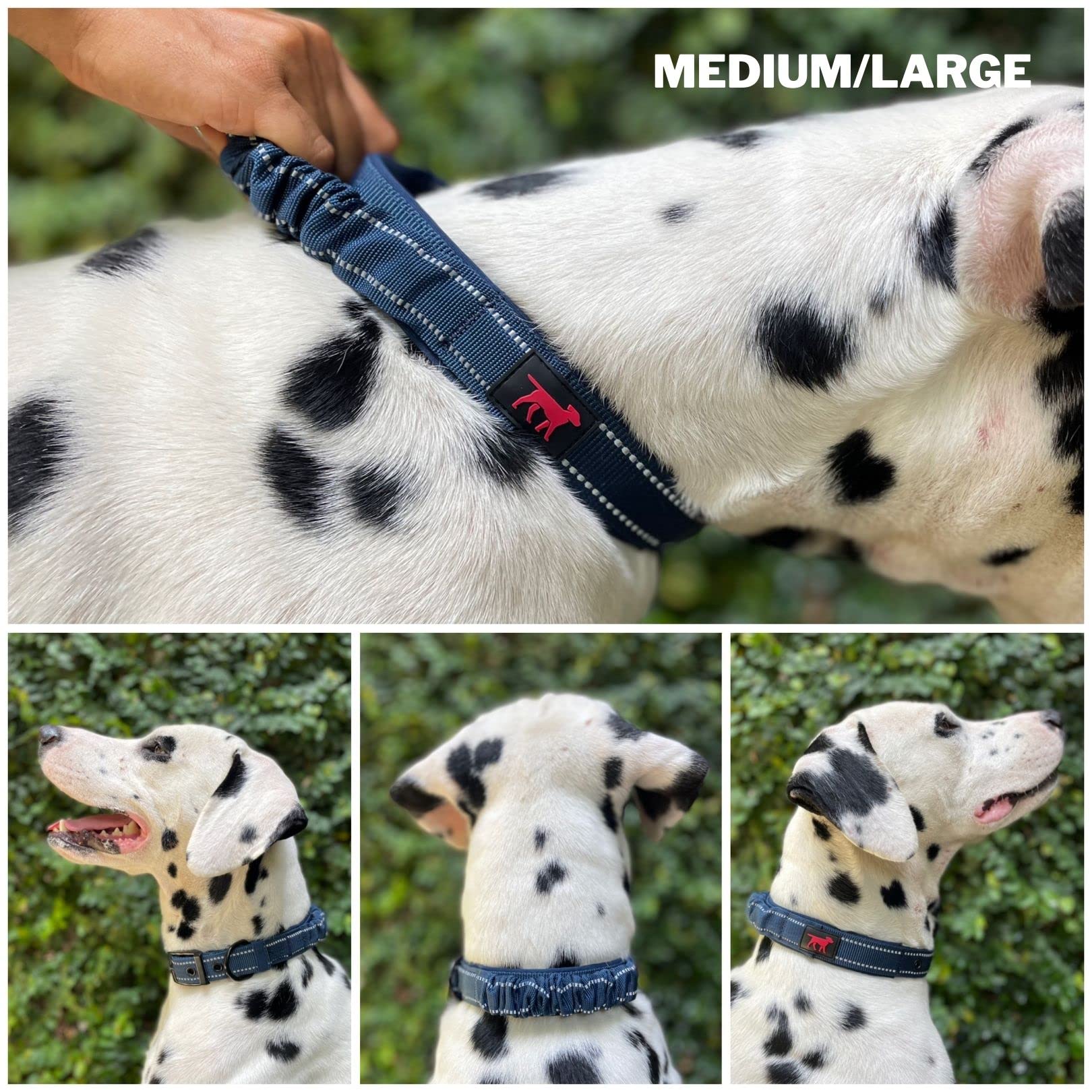 Heavy Duty Dog Collar With Handle | Ballistic Nylon Heavy Duty Collar | Padded Reflective Dog Collar With Adjustable Stainless Steel Hardware | Convenient Sizing For All Breeds