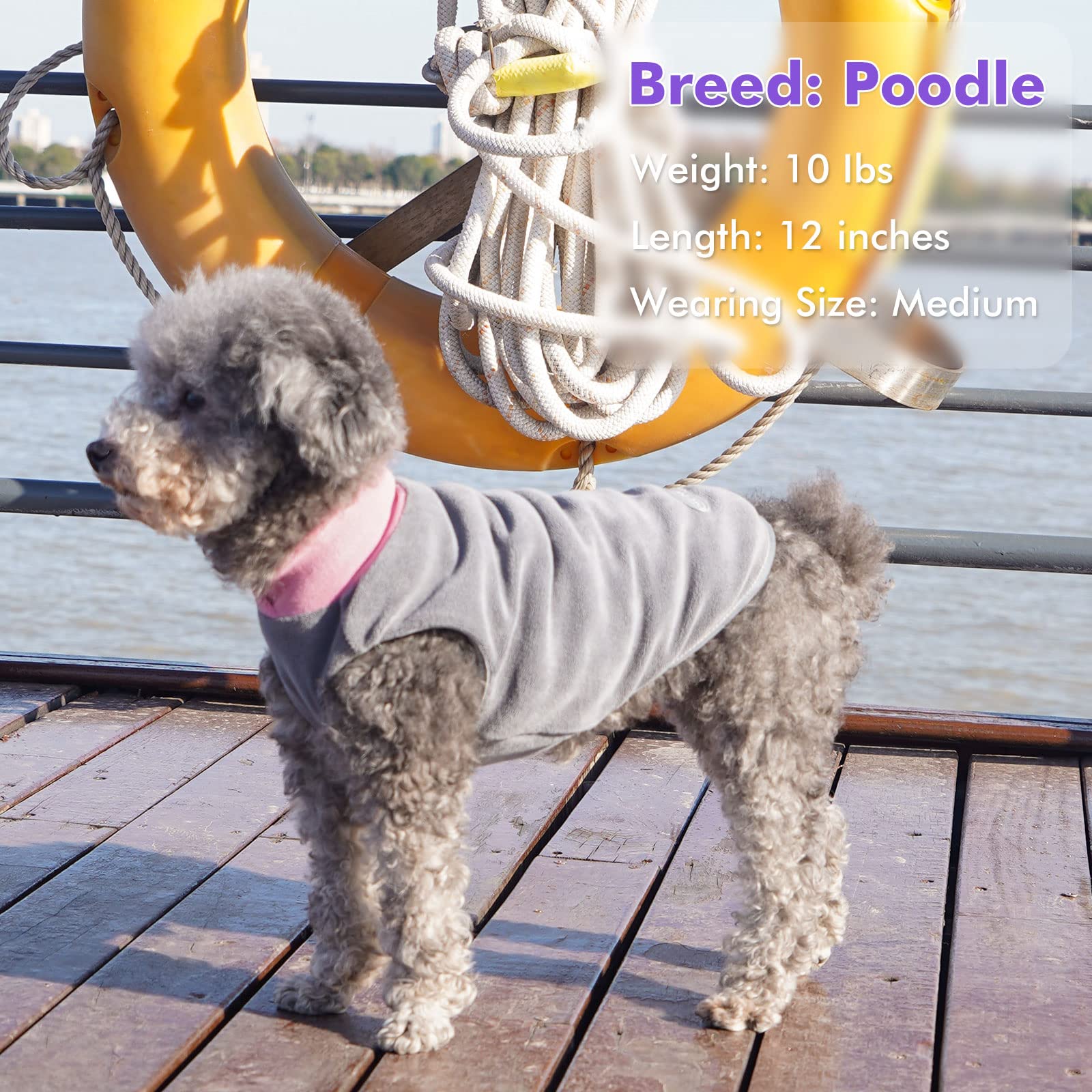 Cyeollo 2 Pack Dog Sweaters For Small Dogs Lightweight Stretchy Fleece Vest Pullover Dog Sweatshirt With Reflective Stripe Pet Dog Clothes Coats Size L Pink & Grey