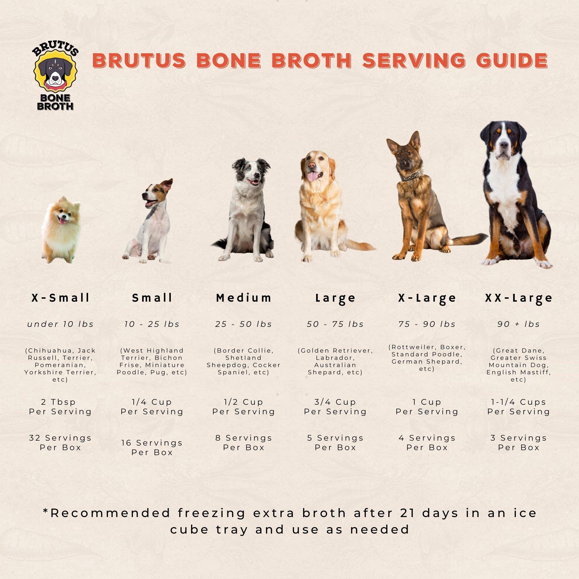 Brutus Chicken Broth for Dogs - All Natural Chicken Bone Broth with Chondroitin Glucosamine Turmeric -Human Grade Food Toppers f