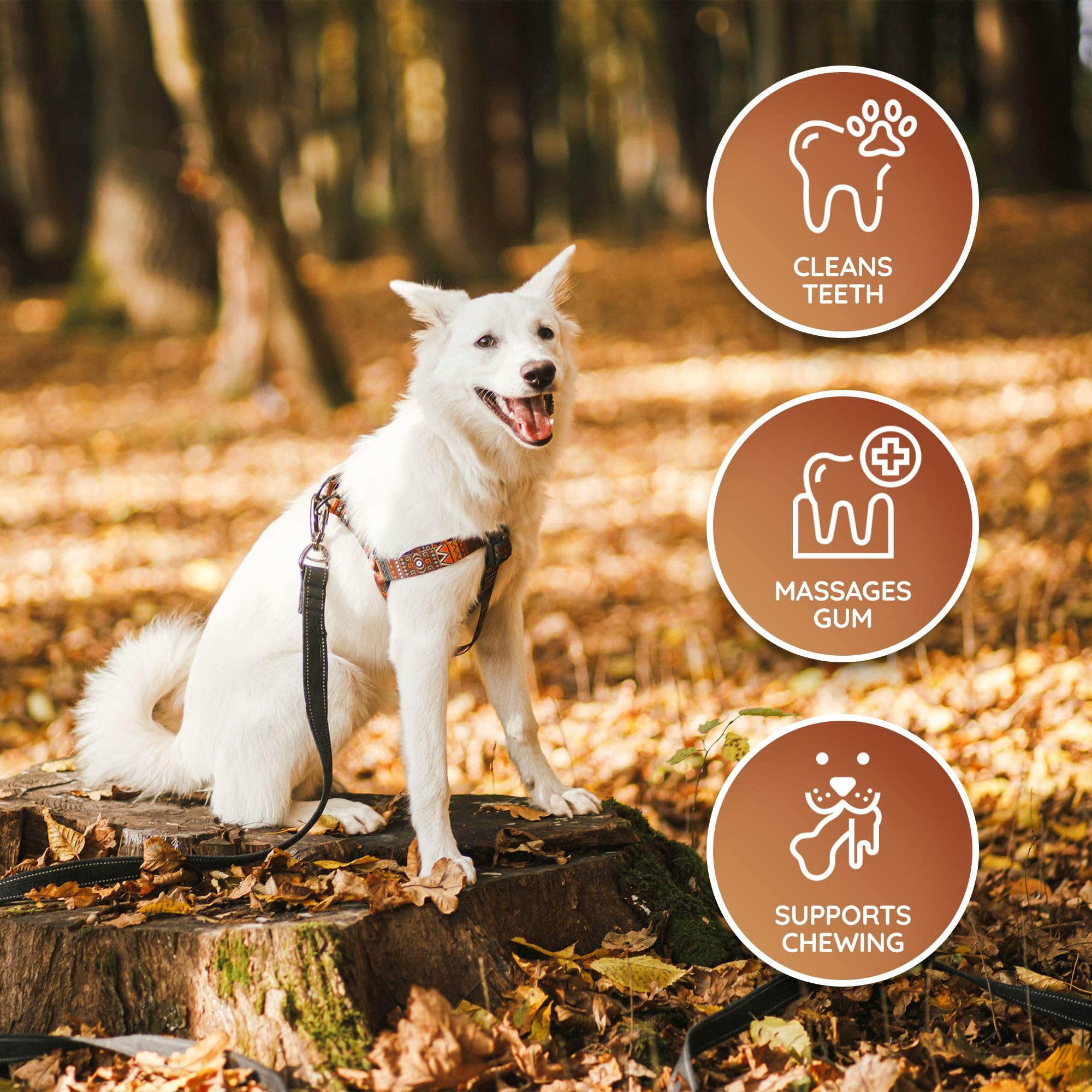 Wildfang® Leather Dog Toy, Medium – Soft Dog Chew Toys for Gentle Chewers, Puppies, Senior or Older Dogs with Sensitive Teeth – Non-Toxic, Stuffless, 5mm Leather Dog Bone for Dogs 22–33 lbs, Pack of 1