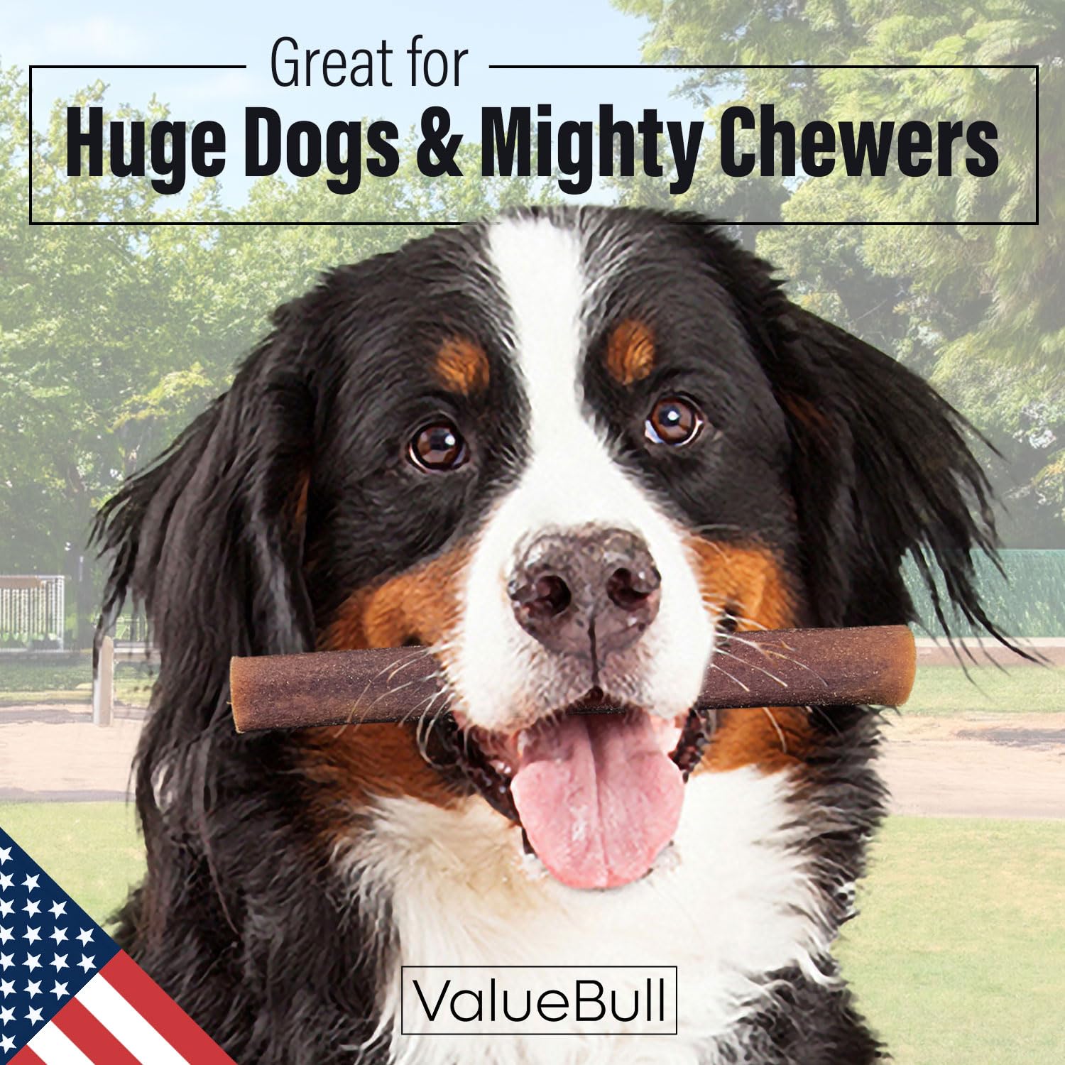 ValueBull USA Collagen Sticks for Dogs, 6 Inch Super Jumbo Chews, Natural Long-Lasting Dog Treats, 200 Count Wholesale Pack - Pr