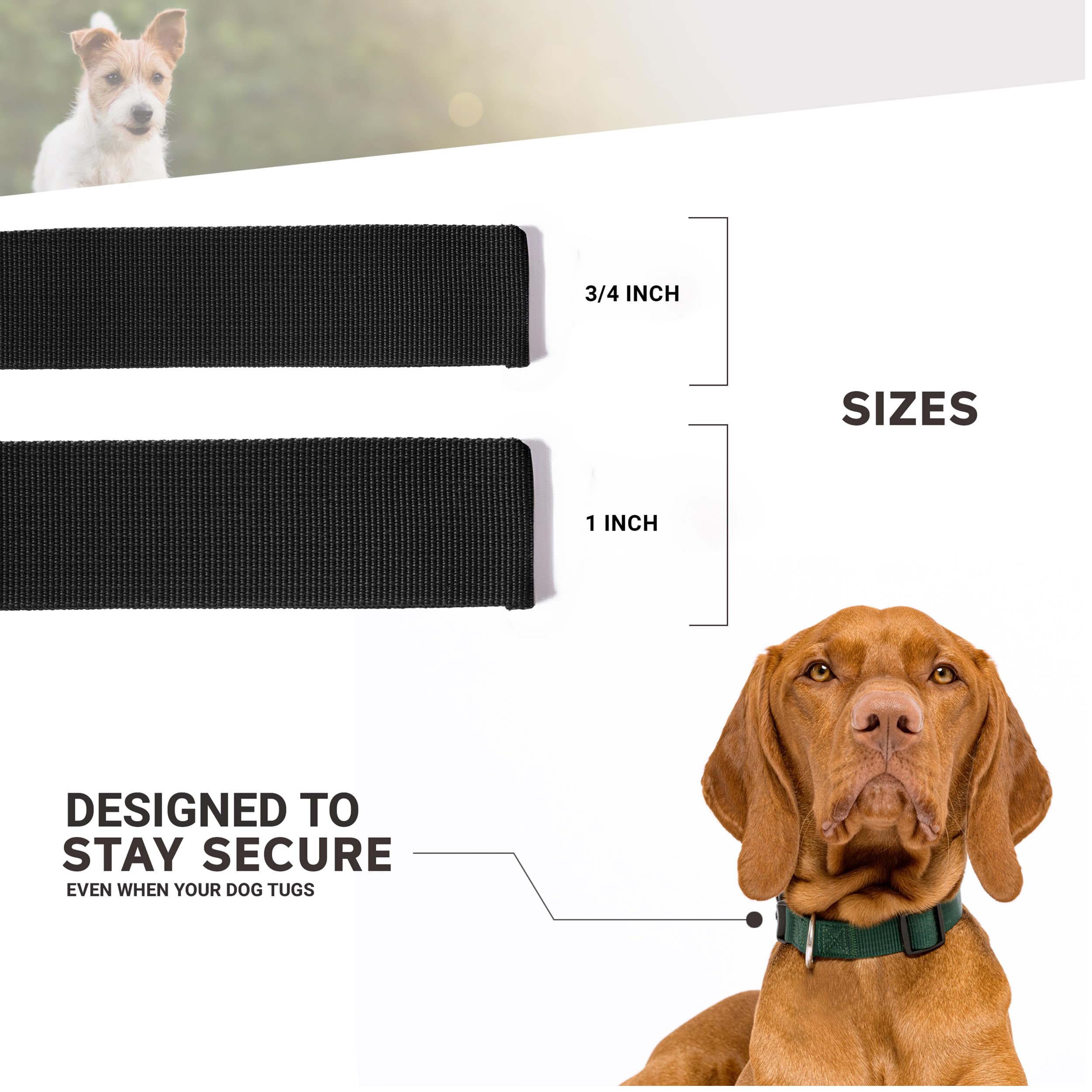 Moose Pet Wear Dog Collar – University Of Utah Utes Adjustable Pet Collars, Made In The Usa – 3/4' Wide, Medium, Argyle