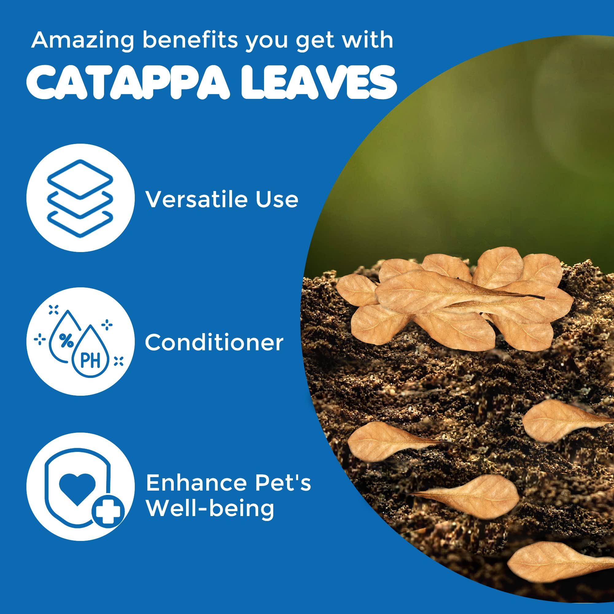 SunGrow 100 Pcs Mini Catappa Indian Almond Leaves for Betta Fish Aquarium, Shrimp, Frogs, Improves Habitat, Gives Tea Color, Hel