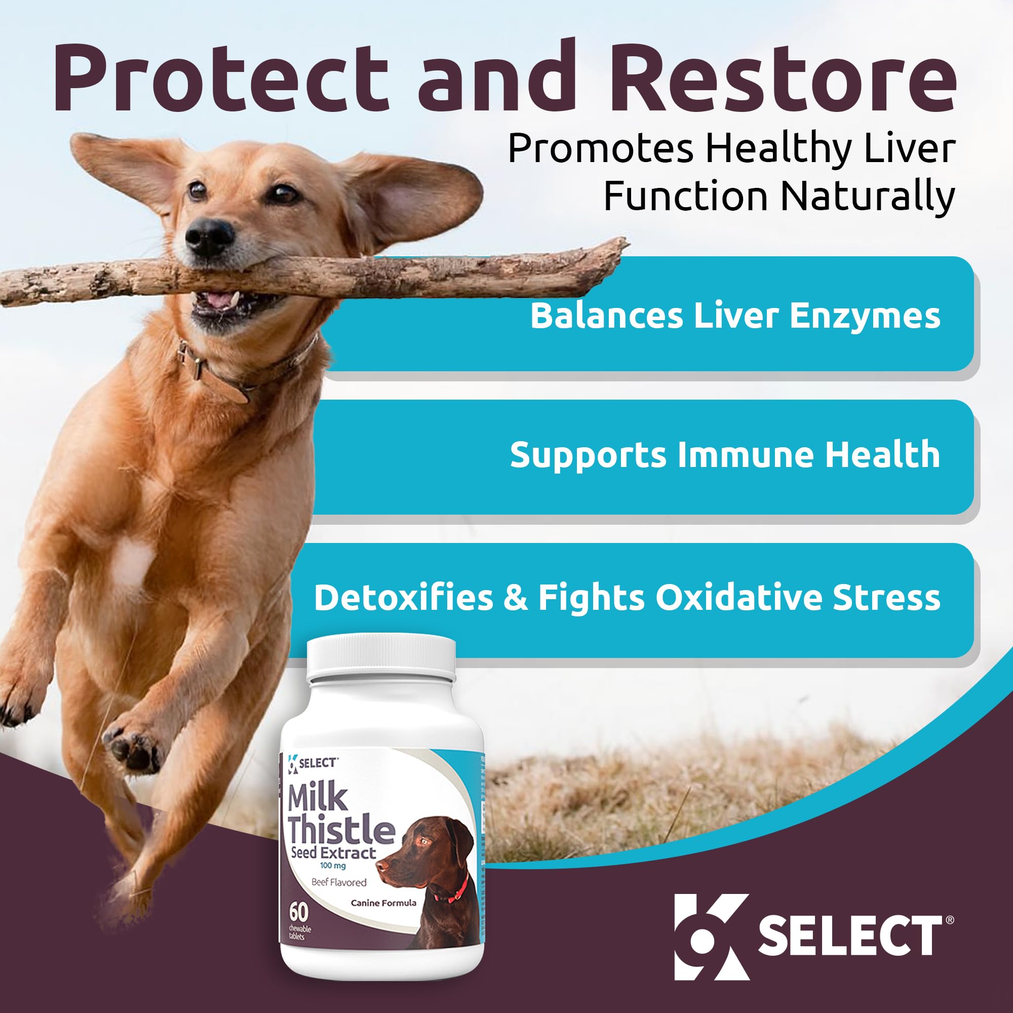 K9 Select Milk Thistle for Dogs - Liver Health Supplement, 100mg, 60 Beef Flavored Tablets