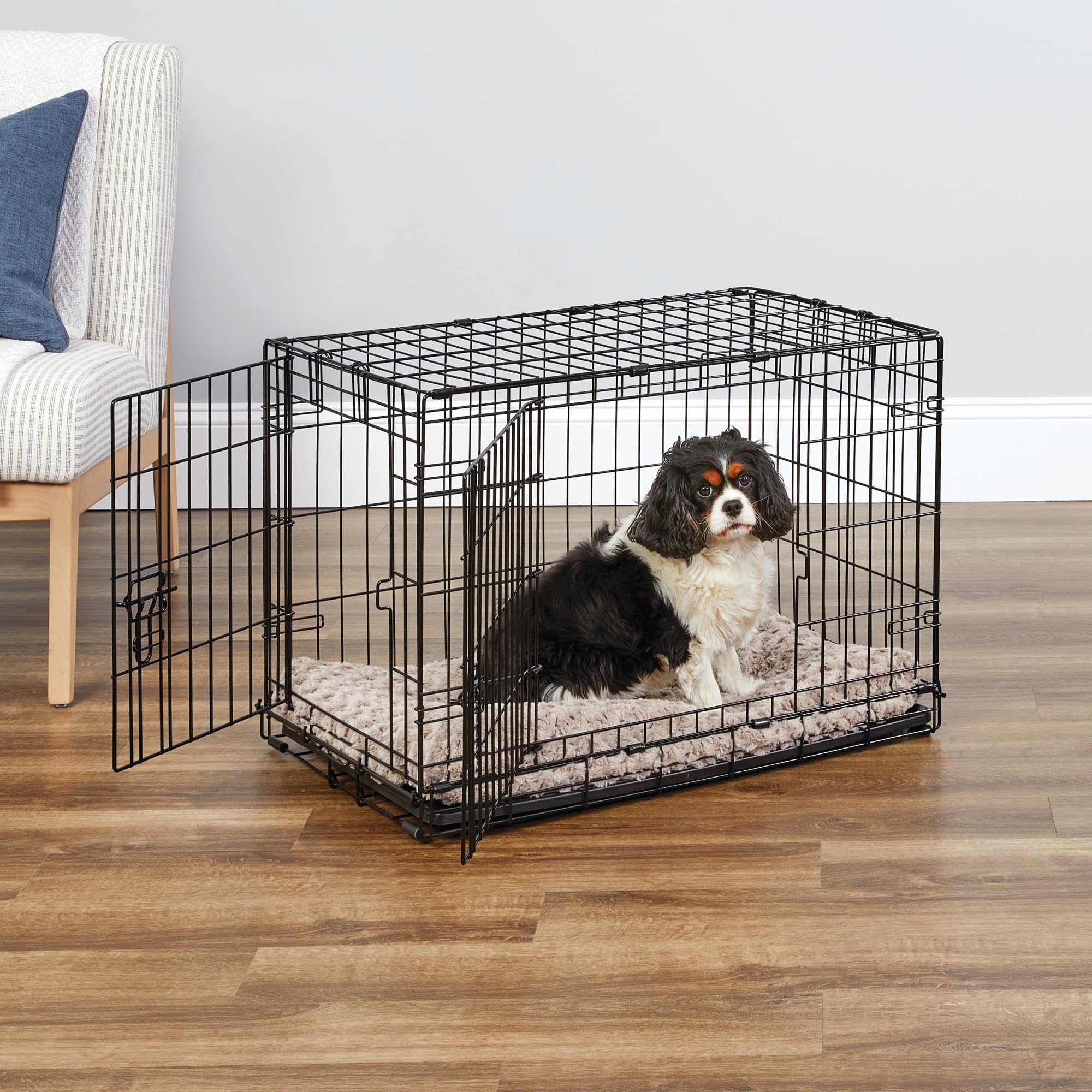 New World Newly Enhanced Double Door New World Dog Crate, Includes Leak-Proof Pan, Floor Protecting Feet, & New Patented Features, 30 Inch