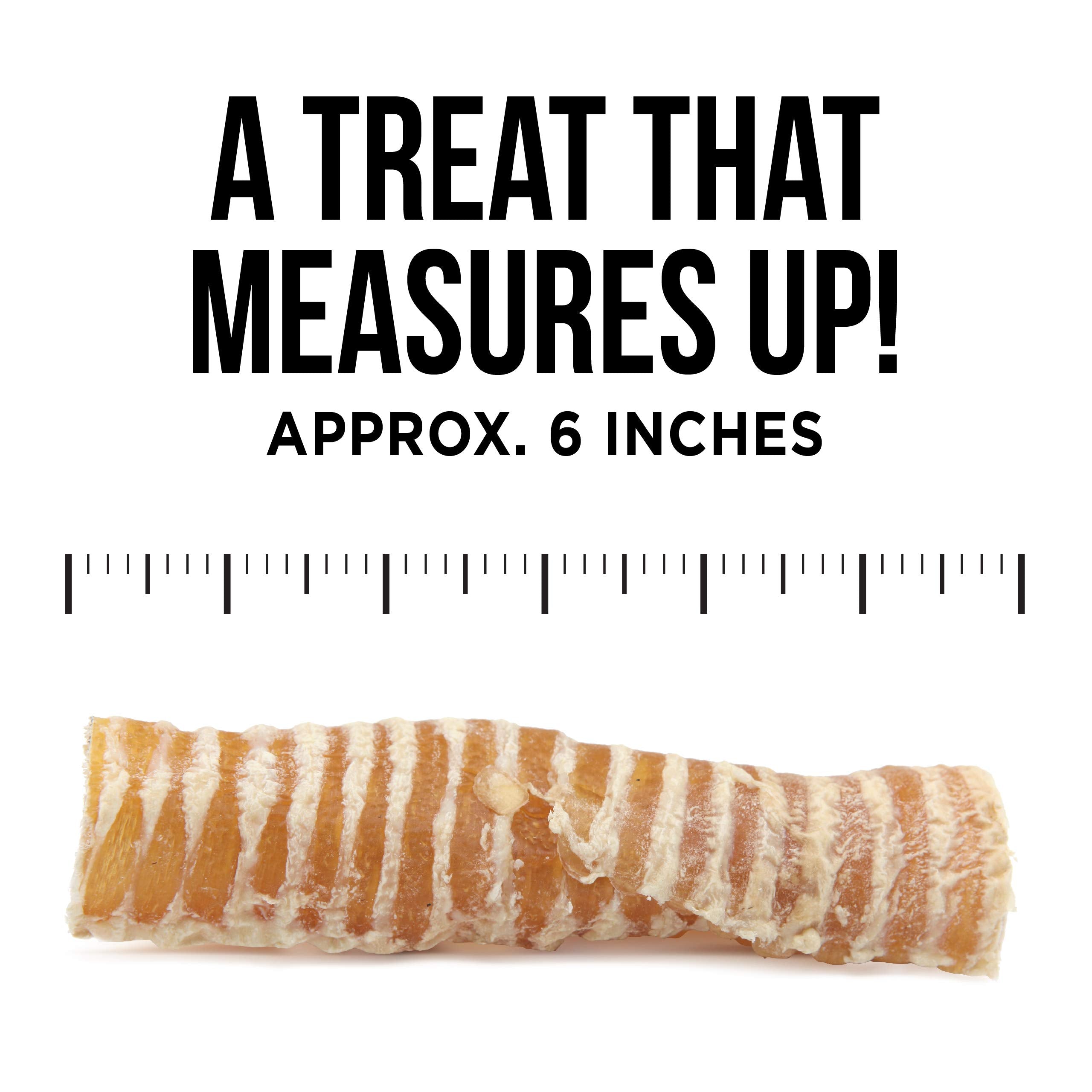 Natural Rapport Beef Trachea Dog Treats - The Only Beef Trachea Chews Dogs Need - All Natural Dog Treats for Small and Large Dog