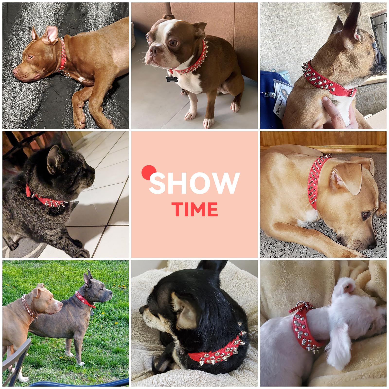 Petcare Spiked Dog Collar Red Soft Pu Leather Funny Mushrooms Rivet Spike Studded Puppy Collar Adjustable Outdoor Pet Dog Collar