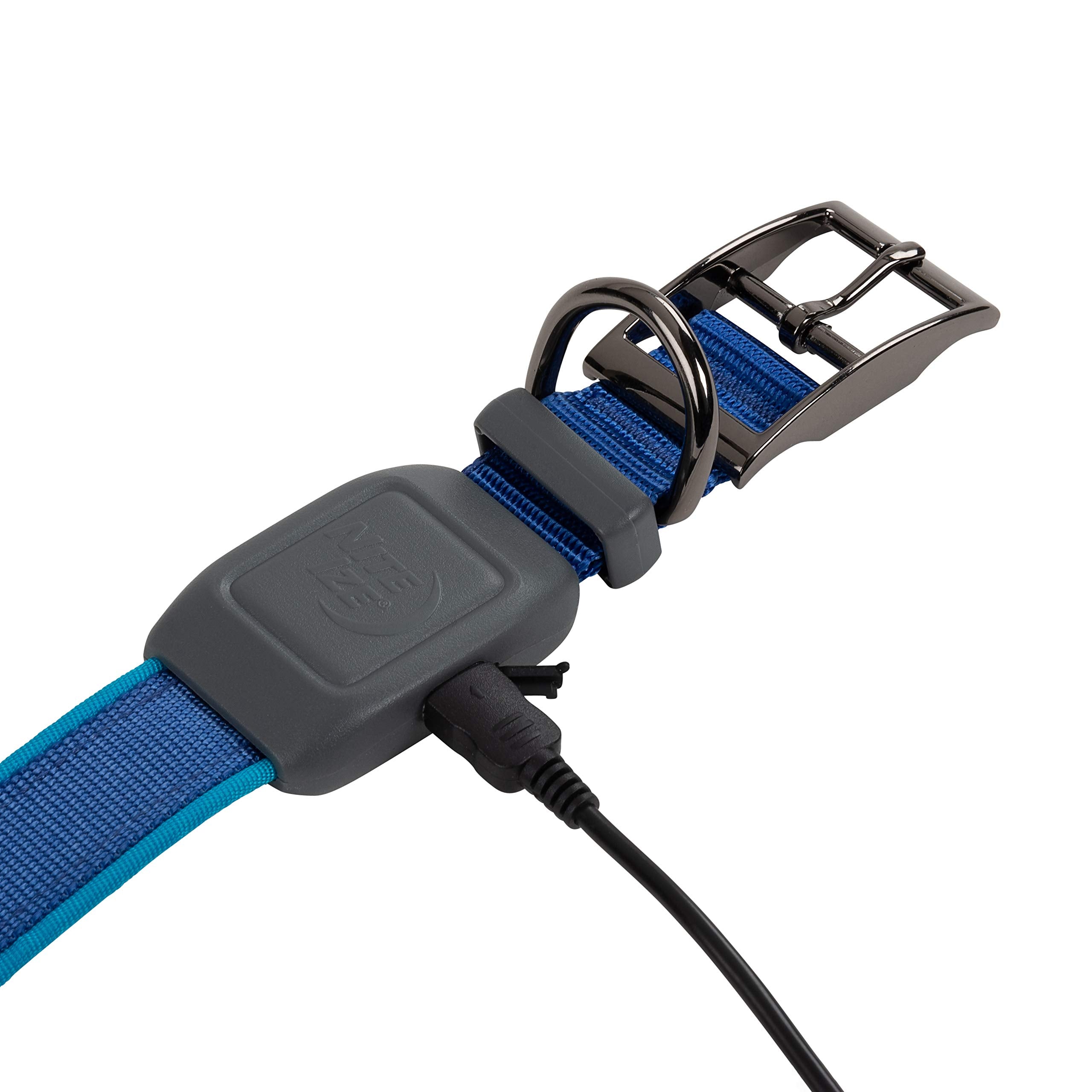Nite Ize Nitedog Rechargeable Led Collar, Usb Rechargeable Light Up Dog Collar W/Metal Buckle, Water Resistant, Small, Blue