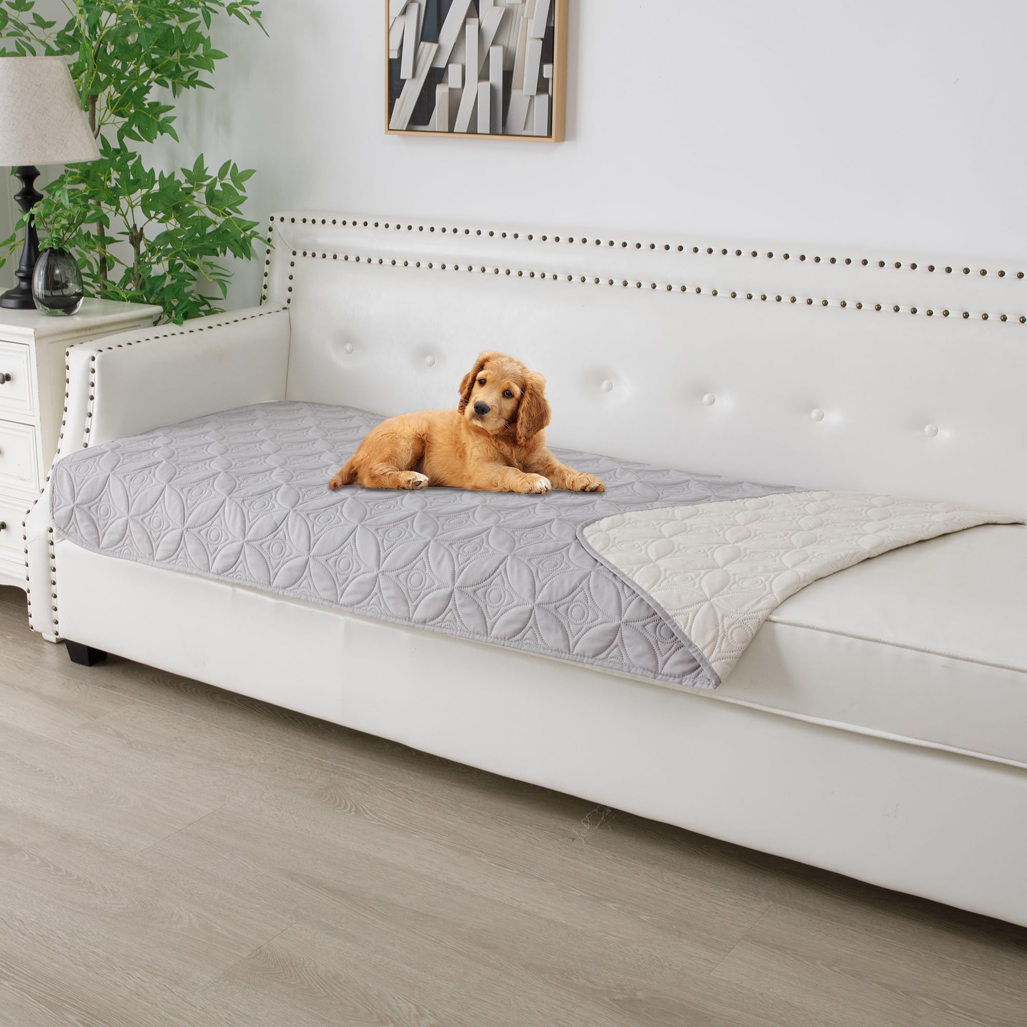 Tuffeel Waterproof Dog Blanket, 30x70 inches Small Pet Couch Covers for Sofa, Chair Bed Furniture Protector from Dogs Washable a