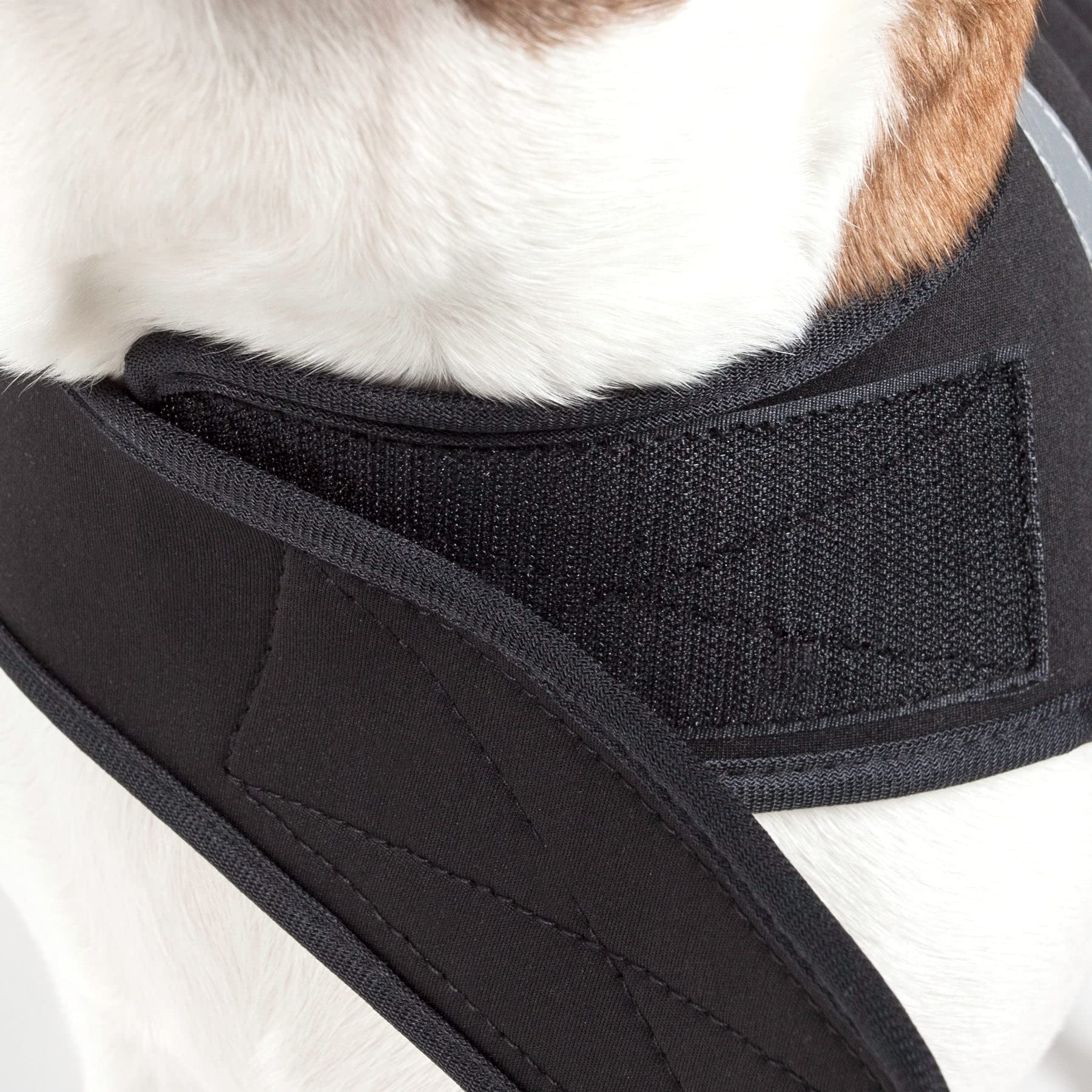 Extreme Neoprene Multi-Purpose Protective Shell Dog Coat(D0102H7LB5Y.)