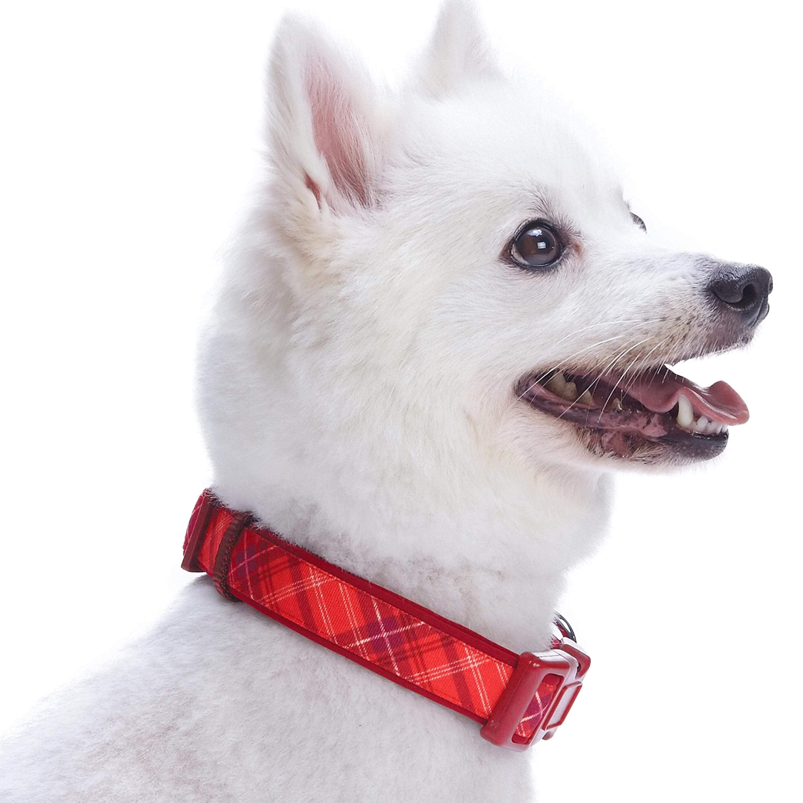 Blueberry Pet 7 Patterns Soft & Comfy Scottish Aileen Red Plaid Tartan Style Designer Padded Adjustable Dog Collar, Medium, Neck 14.5'-20'