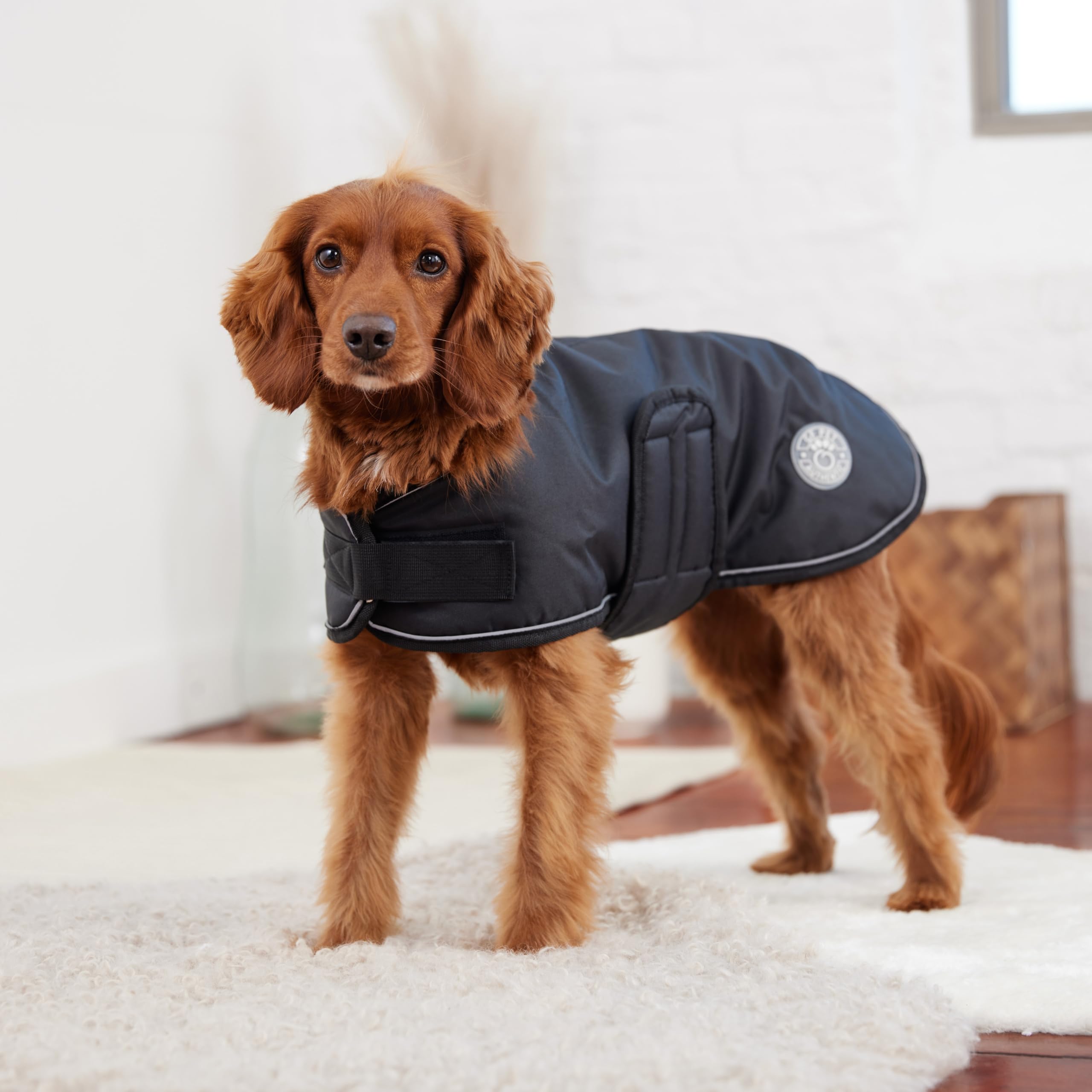 Gf Pet Blanket Jacket Dog Coat – Soft & Cozy Dog Jacket For Dogs | Warm Sherpa Lining | Stylish Winter Coat | For Breeds Small, Medium, Or Large – Black - L