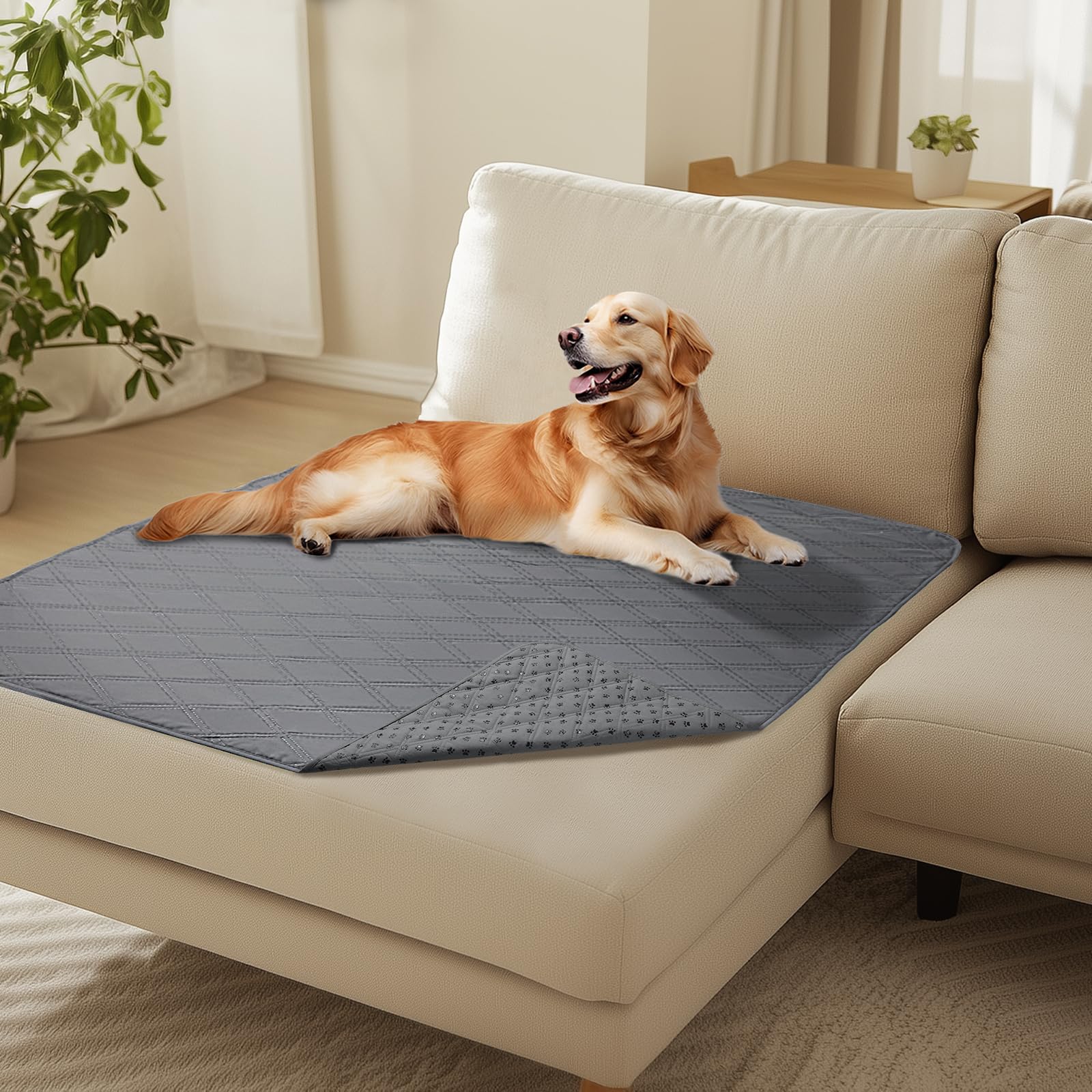 Luciphia 100% Waterproof Couch Cover Blanket For Dogs Anti-Slip Pet Couch Protector Sofa Mat Puppy Cat With Non-Slip Bottom, Lig