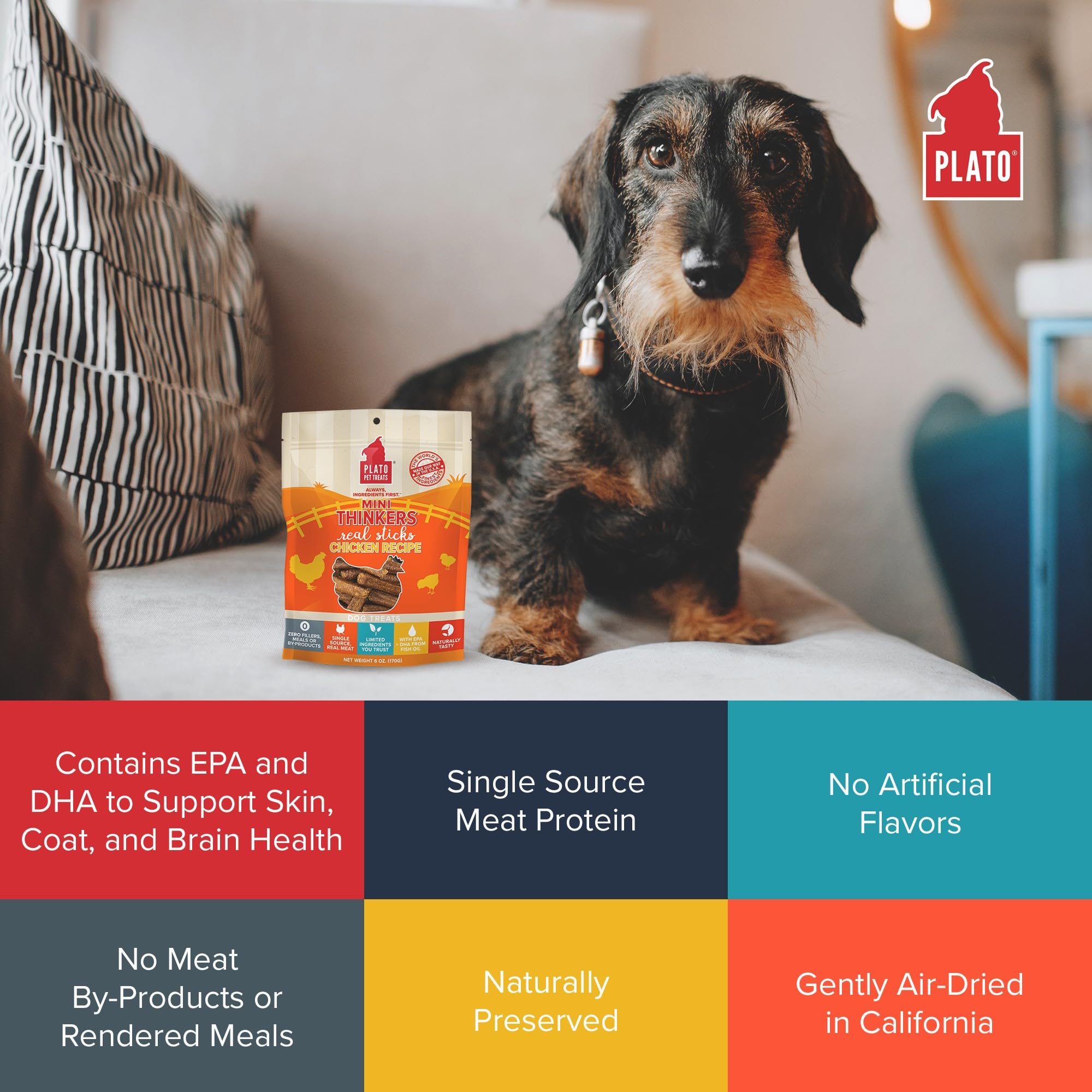 Plato Dog Mini Thinkers Chicken 3Oz