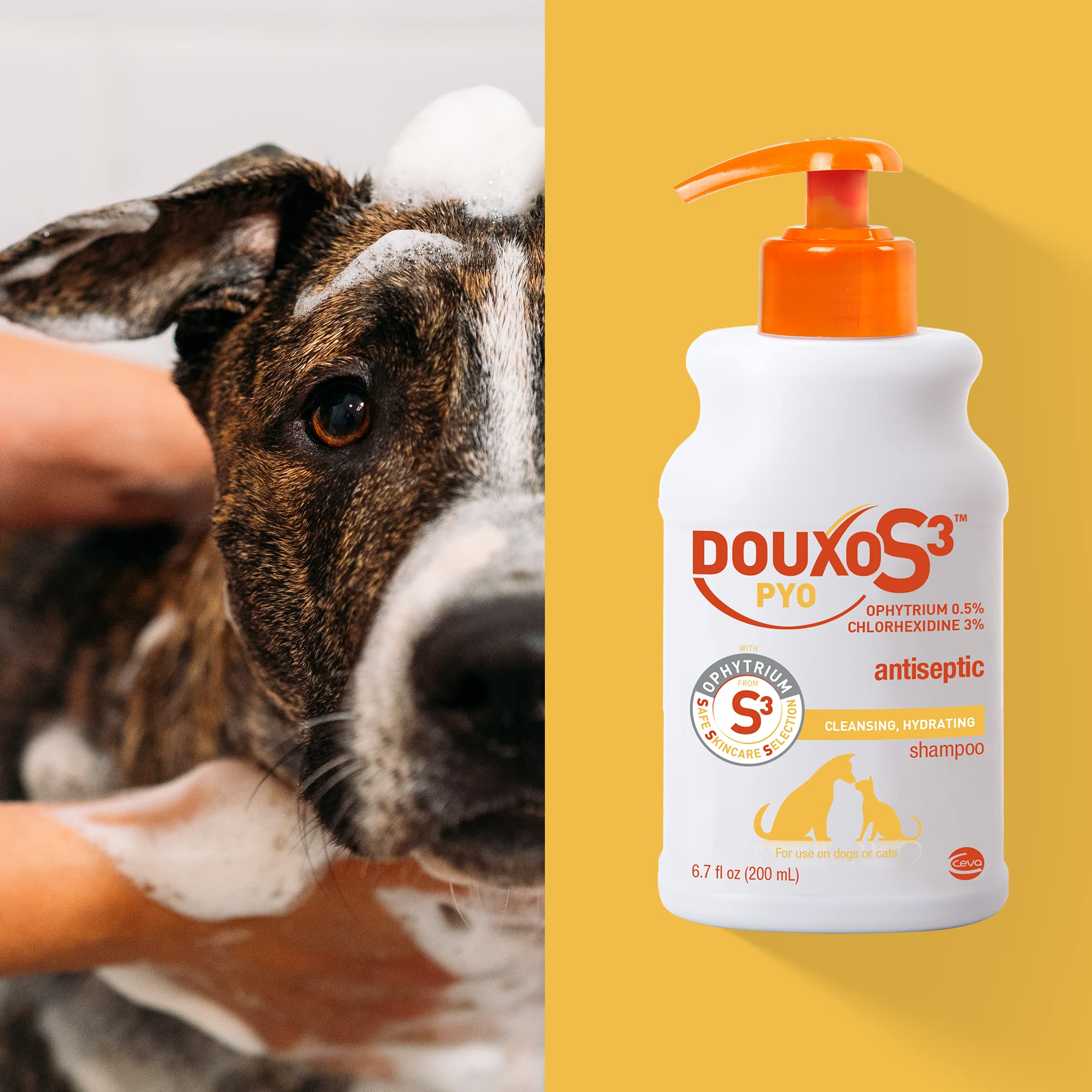 Douxo S3 PYO Shampoo - Translucent 200 mL - Model D98410M - Gentle Formula for Skin Care