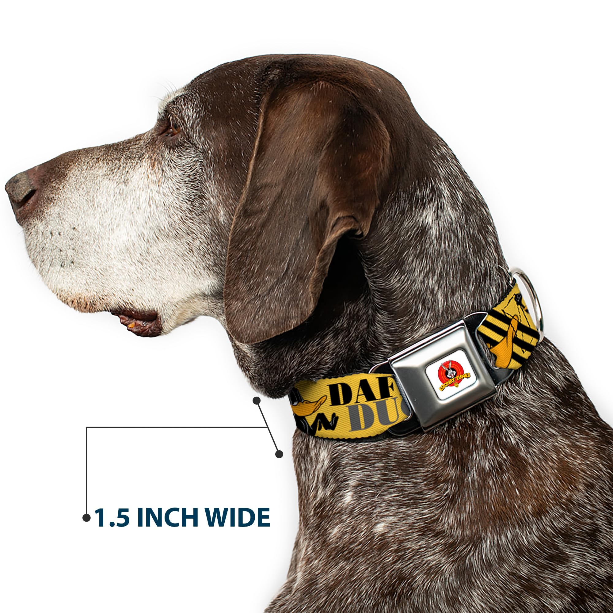 Buckle-Down Seatbelt Buckle Dog Collar - DAFFY DUCK w/Poses Yellow/Black - 1.5 Wide - Fits 13-18 Neck - Small