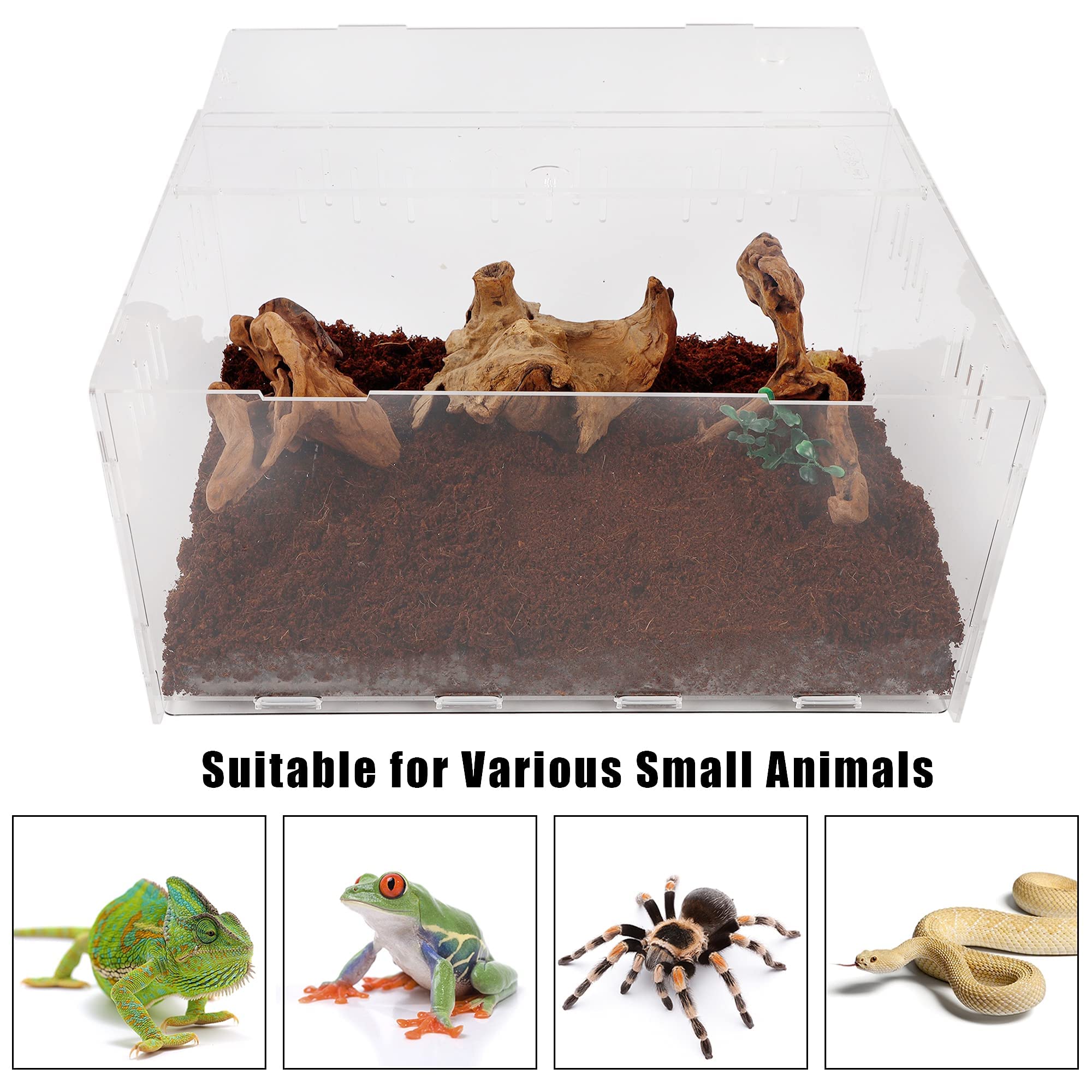 winemana Reptile Terrarium, Tarantula Enclosure, 16'' x 11'' x 6'' Acrylic Large Feeding Tarantula Habitat Box for Small Animals