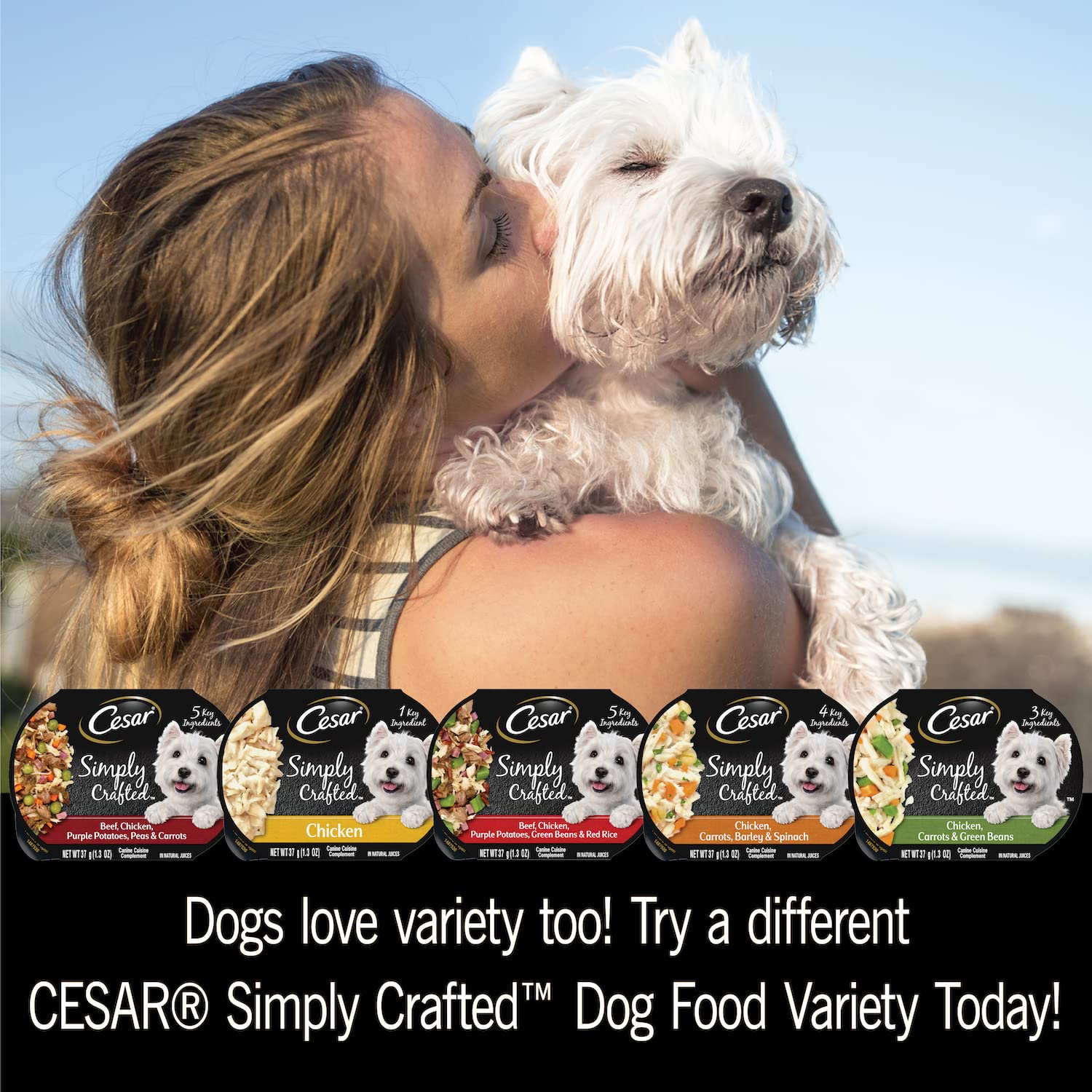 Cesar Simply Crafted Adult Wet Dog Food Toppers for Dry Food, Chicken, 1.3 oz Tubs, 24 Count