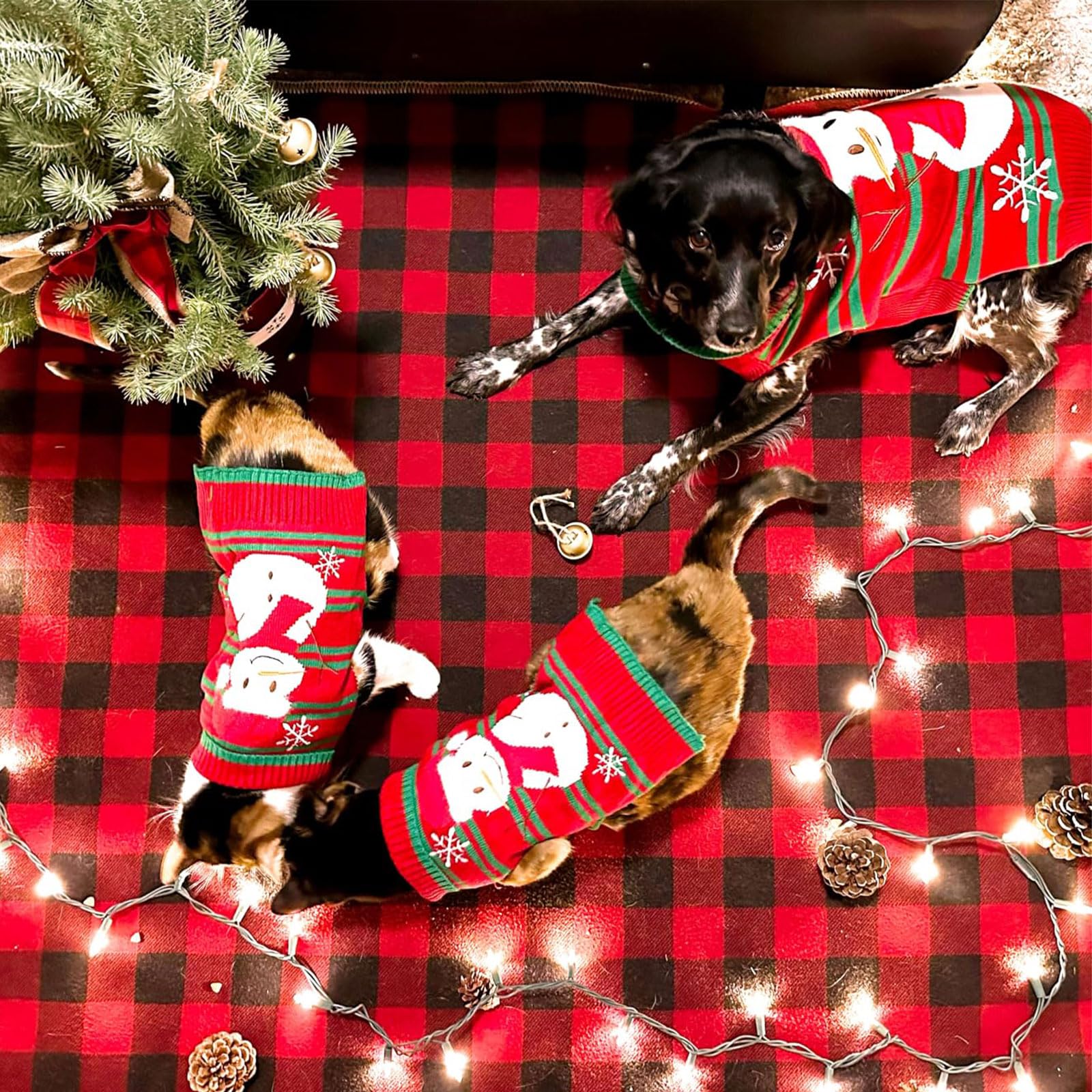 Axiijgl Small Dog Christmas Sweater Snowflake Christmas Dog Clothes Snowman Fleece Dog Sweater Dog Holiday Sweater With Leash Ho