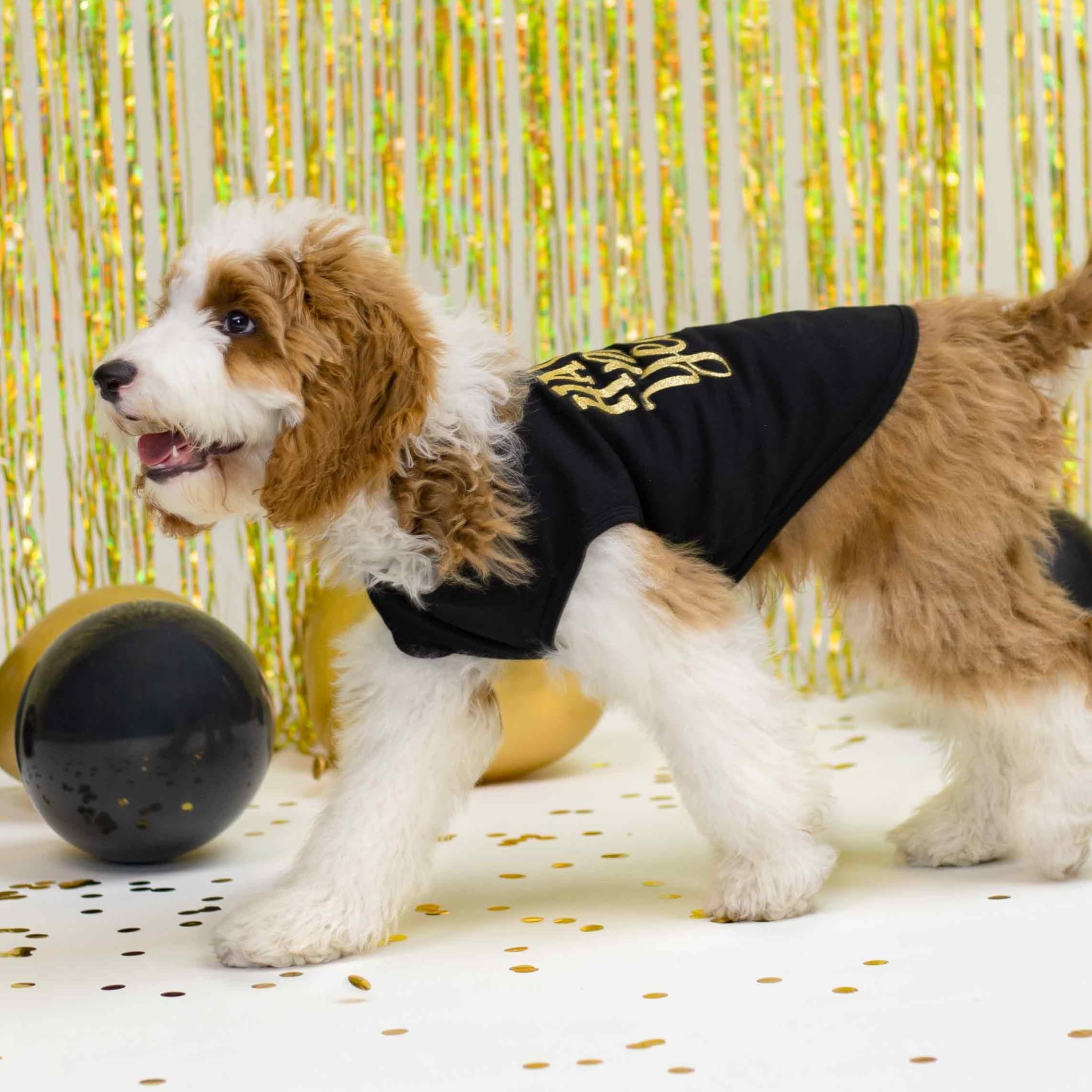 Fitwarm Happy New Year Dog Shirt, Holiday Dog Clothes For Small Dogs Boy Girl, Funny Pet Christmas Outfit, Black, Gold, Medium