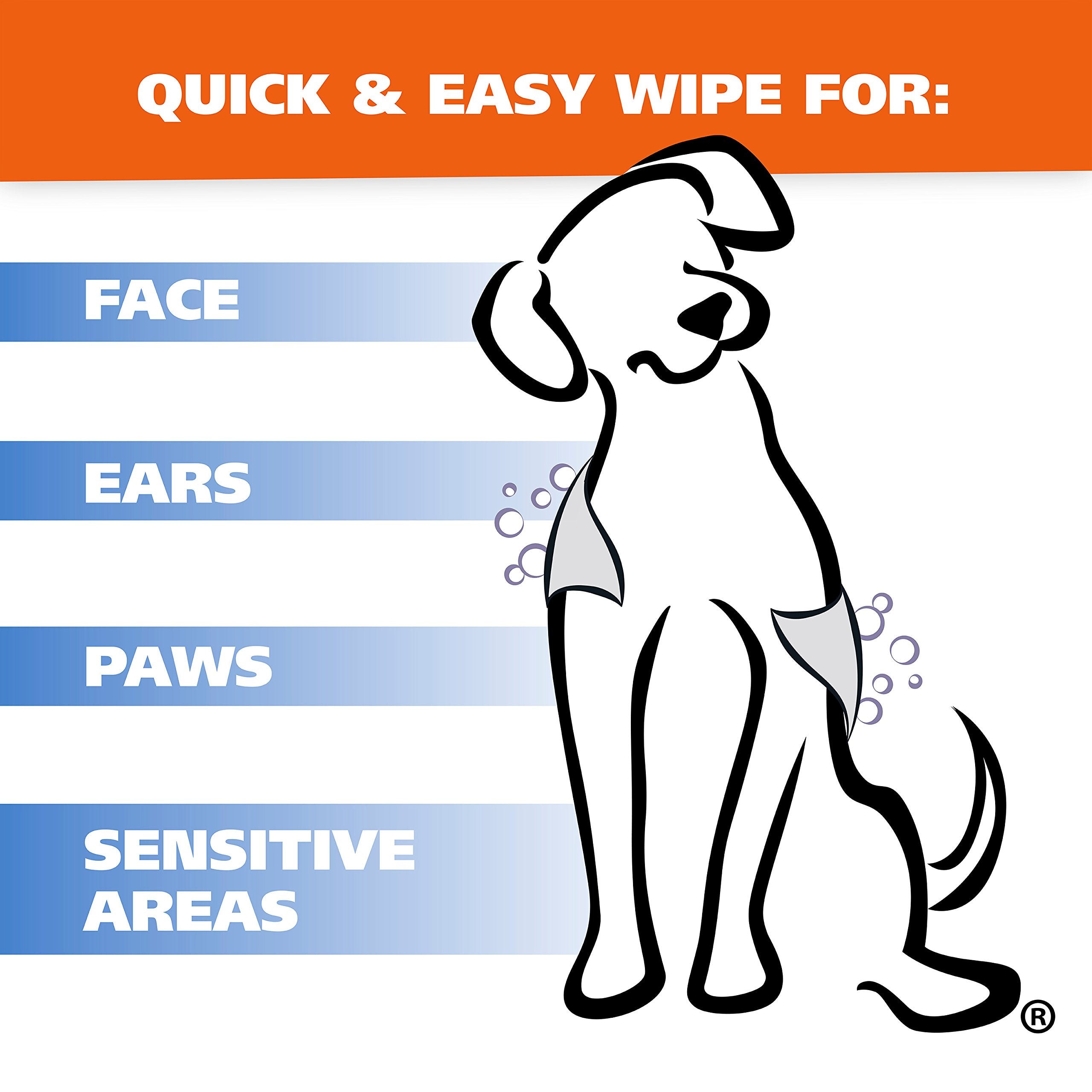 Wahl Pet Refresh Lavender Cleaning Wipes - 50 Count, Natural Material for Dogs, Model 820018A