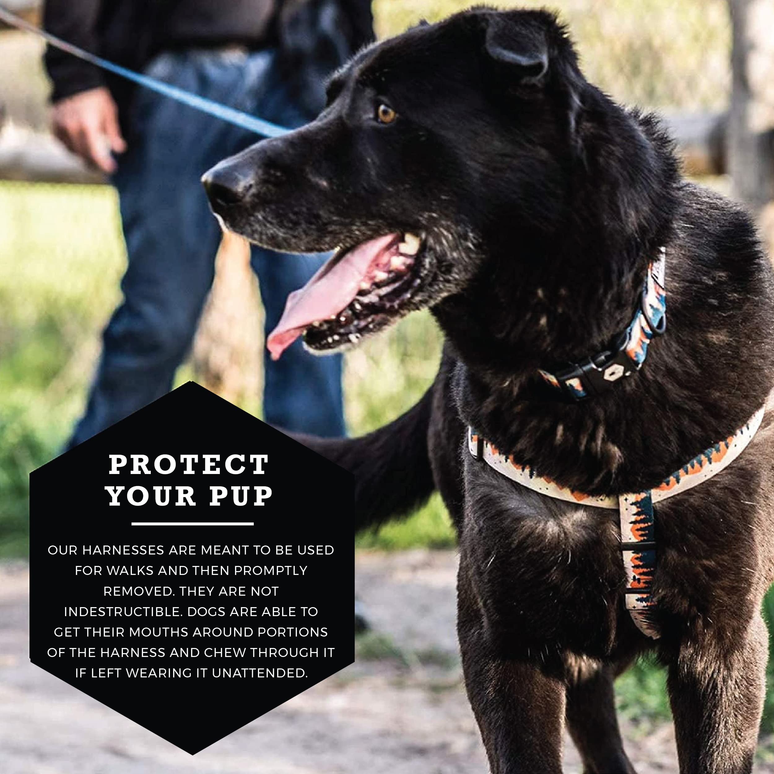 Wolfgang Heavy Duty Adjustable Dog Harness, Pull-Tested To Over 800 Lbs For Walking & Training, Overland Print, Extra Large