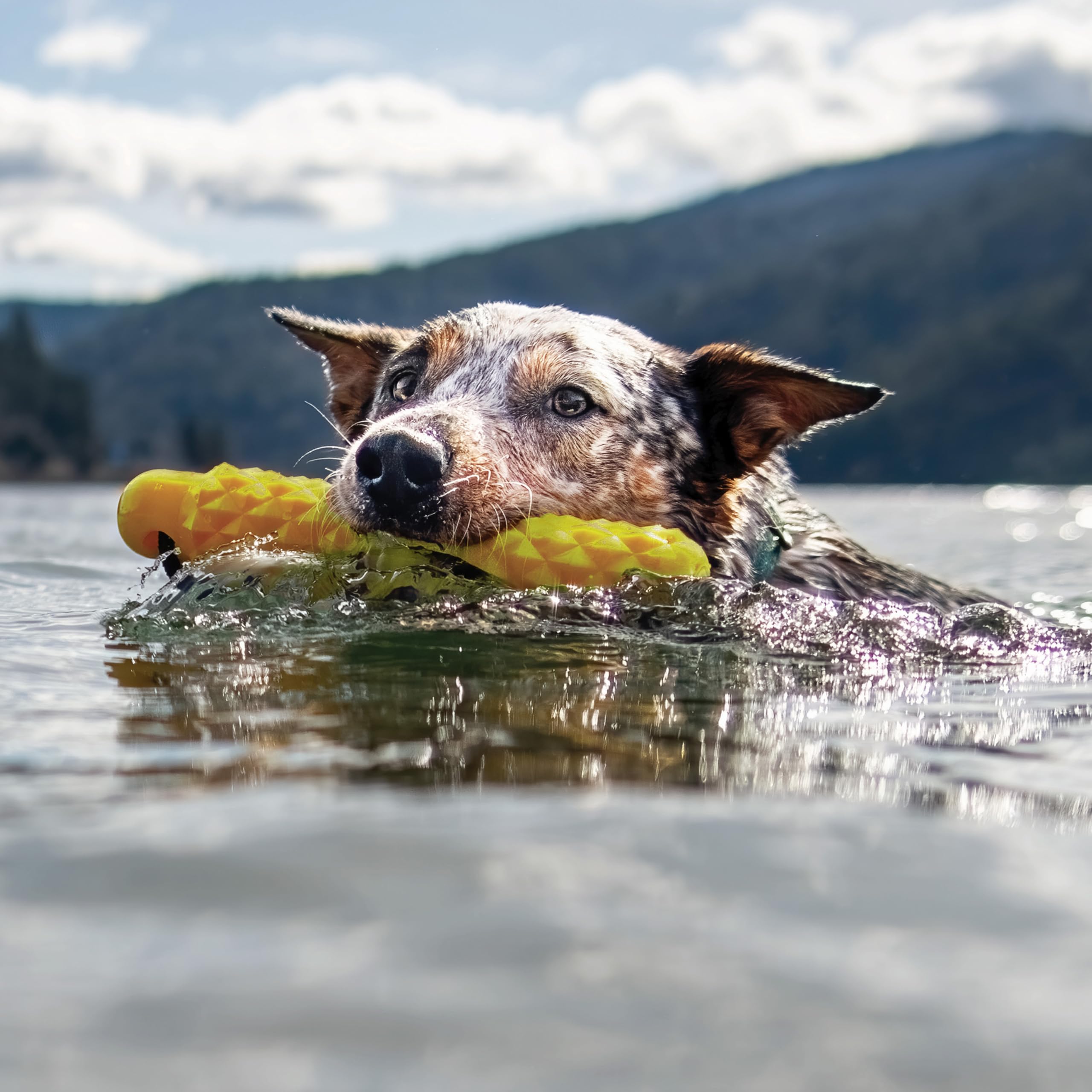 Playology Hound2O Outdoor Dog Toy For Water Adventures | Bright Yellow Floating Rope Bumper For Throwing And Retrieving | Durabl