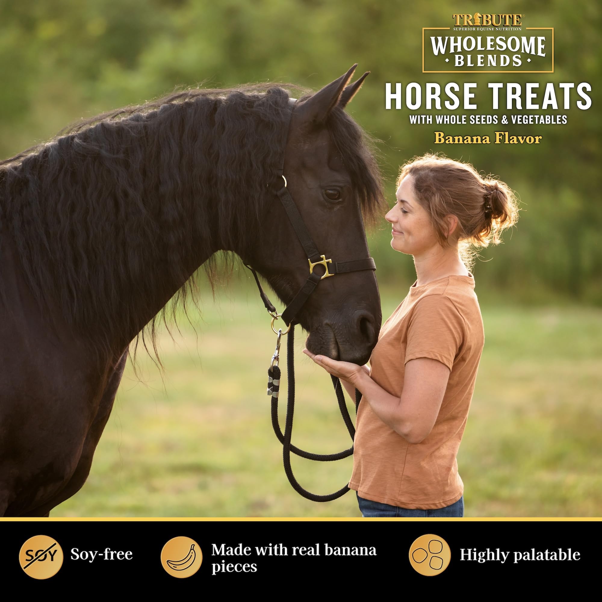 TRIBUTE Wholesome Blends Soy-Free Banana Flavored Horse Treats, 1.5 lb Bag