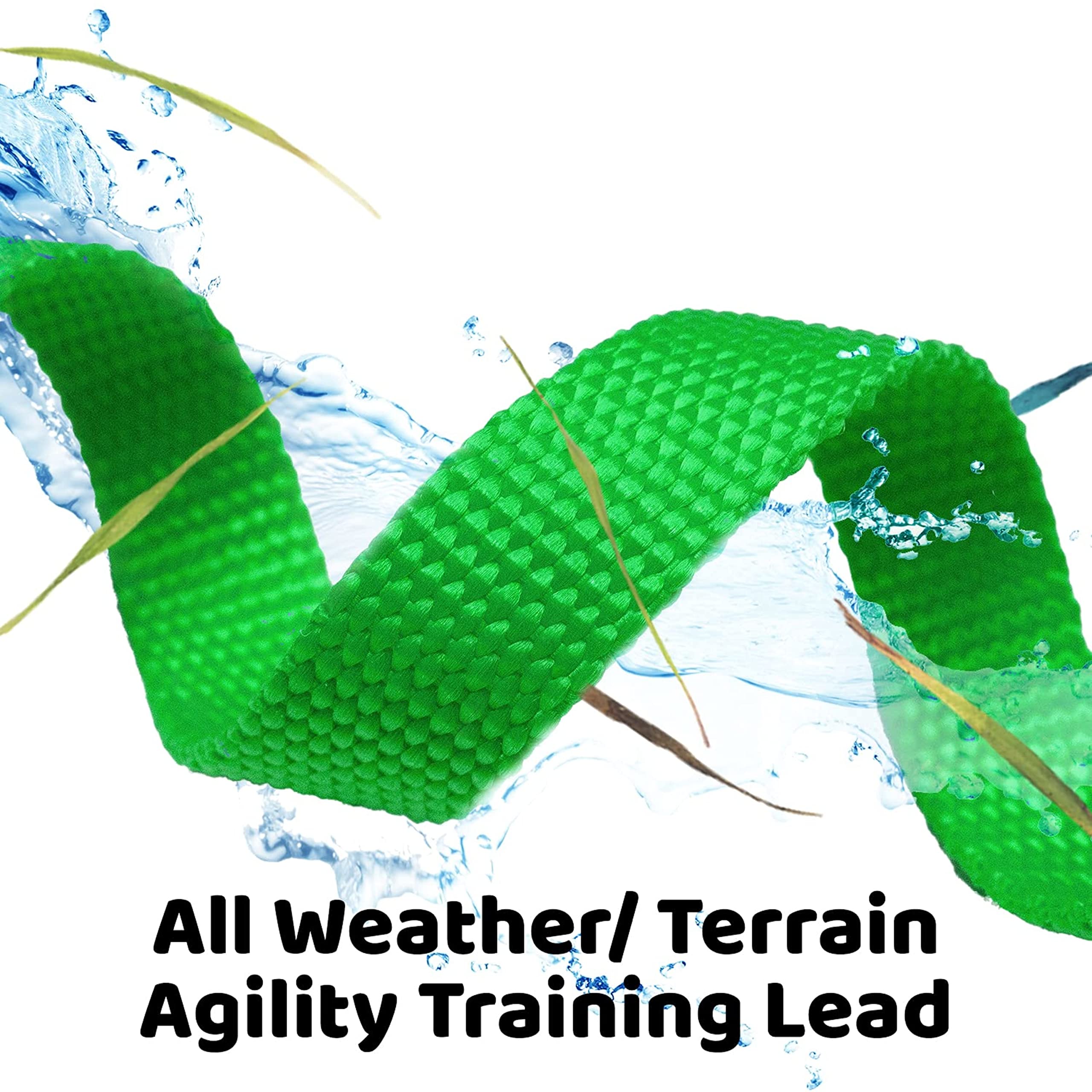 Long Dog Puppy Obedience Recall Training Agility Lead, Leash - GREEN, 15 Foot - by, Downtown Pet Supply