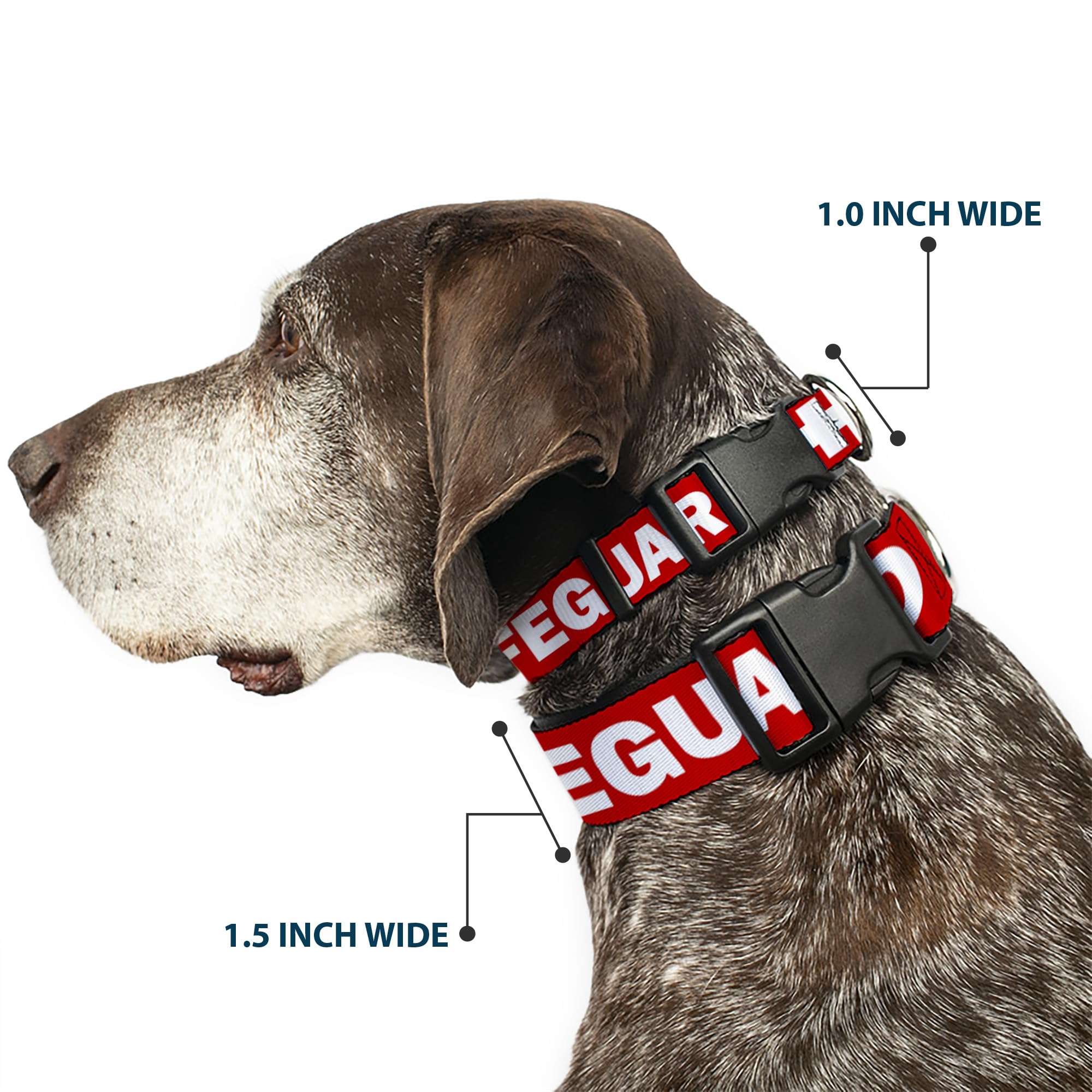 Buckle-Down Plastic Clip Collar - Lifeguard/Logo Red/White - 1.5 Wide - Fits 13-18 Neck - Small