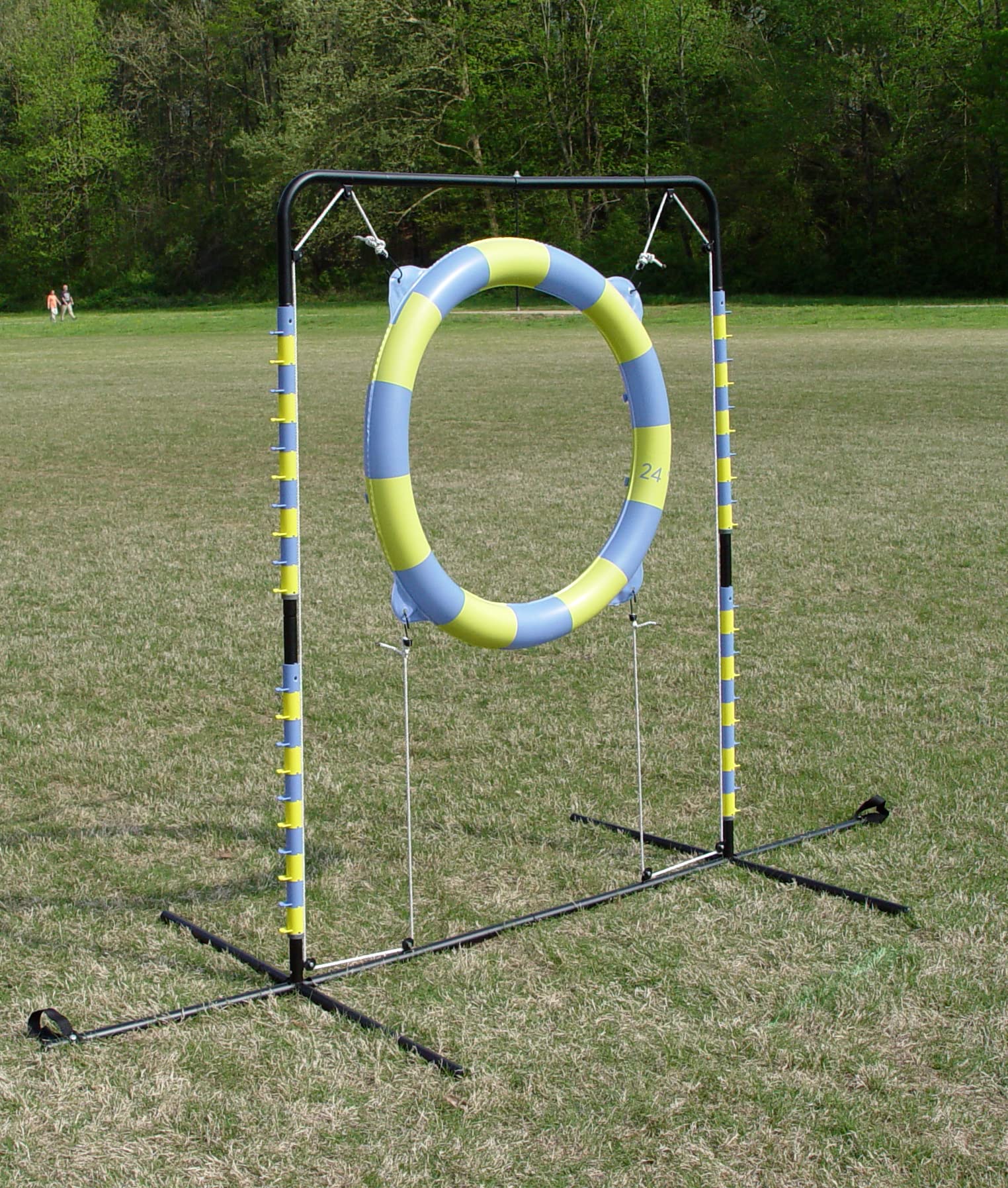 Agility Tire Jump (Hoop Jump)