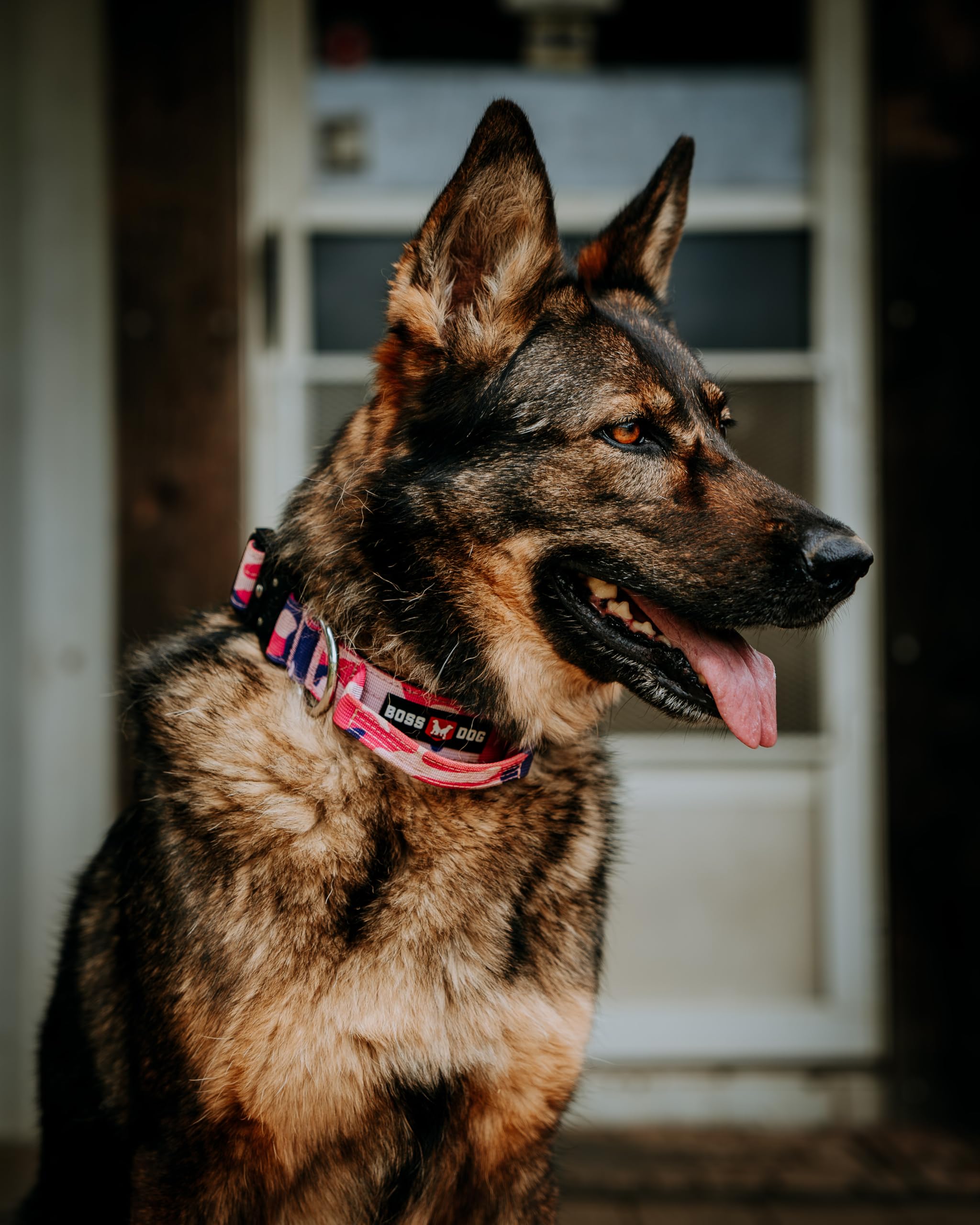 Boss Dog Tactical Collar, Pink Camo, Large