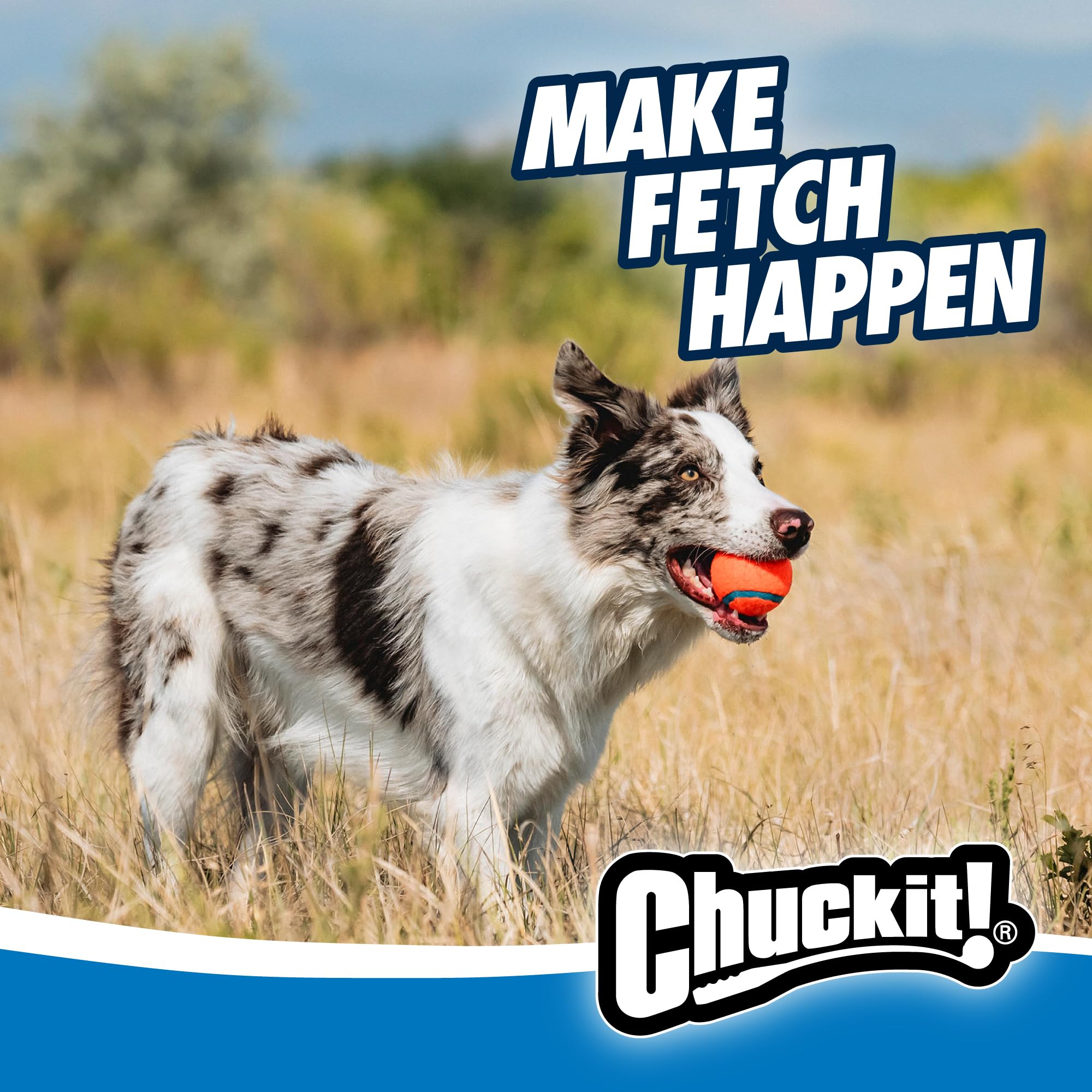 Chuckit! Ultra Dog Ball & Launcher Bundle Classic 26M 26 Length with 2 Pack Medium (2.5) Bouncy Fetch Balls for Dogs 20-60 lbs,